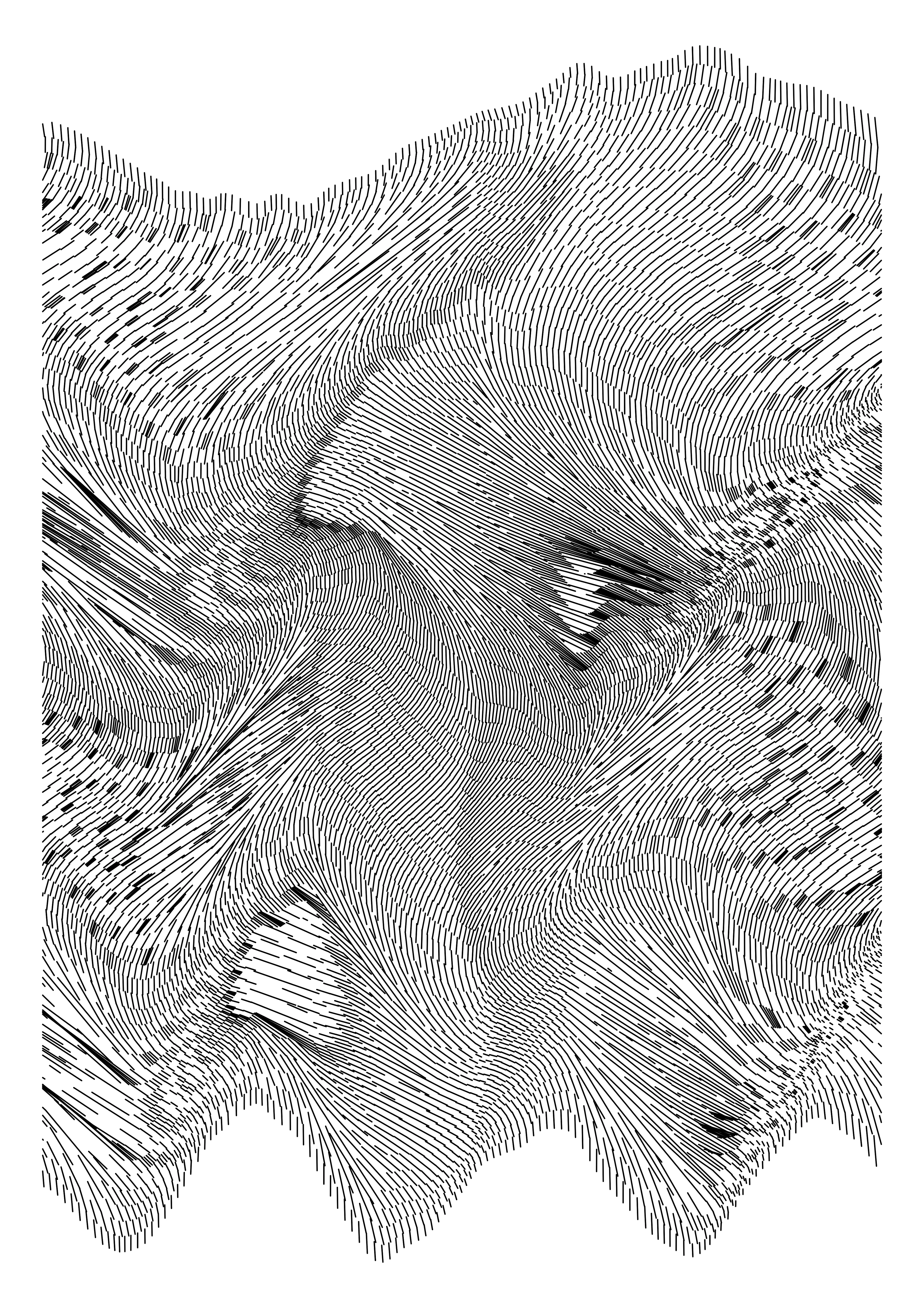 Made with Processing | 4000 x 5657 px
