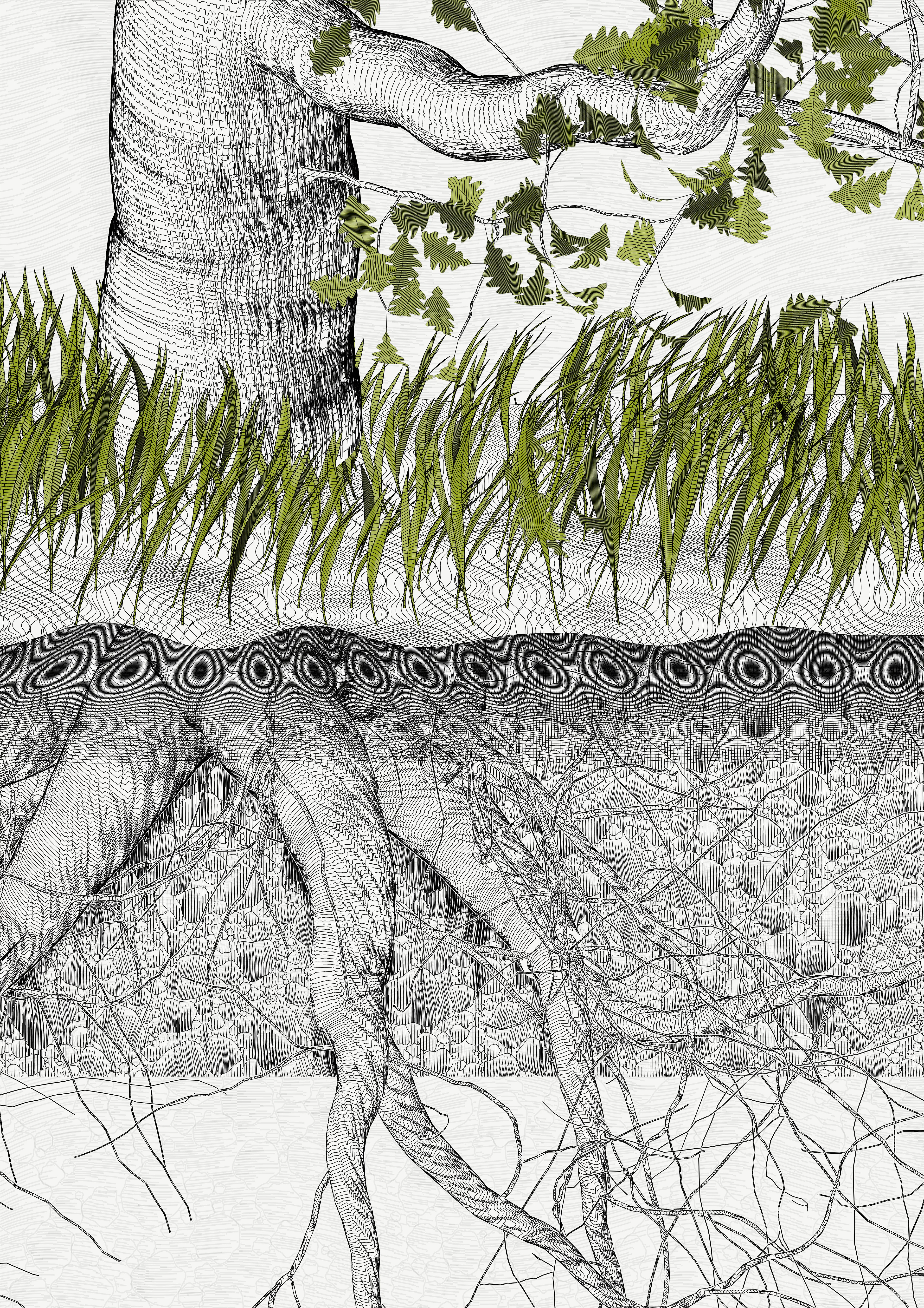 — In the spring of 2021, I carried out a set of research for the rendering of vector trees with programming code, with the aim of making plotter drawings.
My work began to focus on tight and immersive framing in order to refine the rendering of the bark — and to pay tribute to a childhood spent hidden in the foliage of oaks. This resulted in a A4 drawing of dense leaves scattered around the slightly off-center mass of a solid trunk.

To my surprise, I found out that the code was actually calculating the entire tree, showing only a small window.

Then began a patient discovery of the hidden parts, computing and drawing one sample after another.
It was only after hundreds of hours of plotting and after all the drawings had been framed and hung that I was able to watch the Oak in its majestic entirety.

Parts coordinates refer to the position relative to the first drawing revealed, which is at #0,0

—
The Oak Tree part #0,-1
High resolution PNG 4200 x 5920 
Custom javascript code