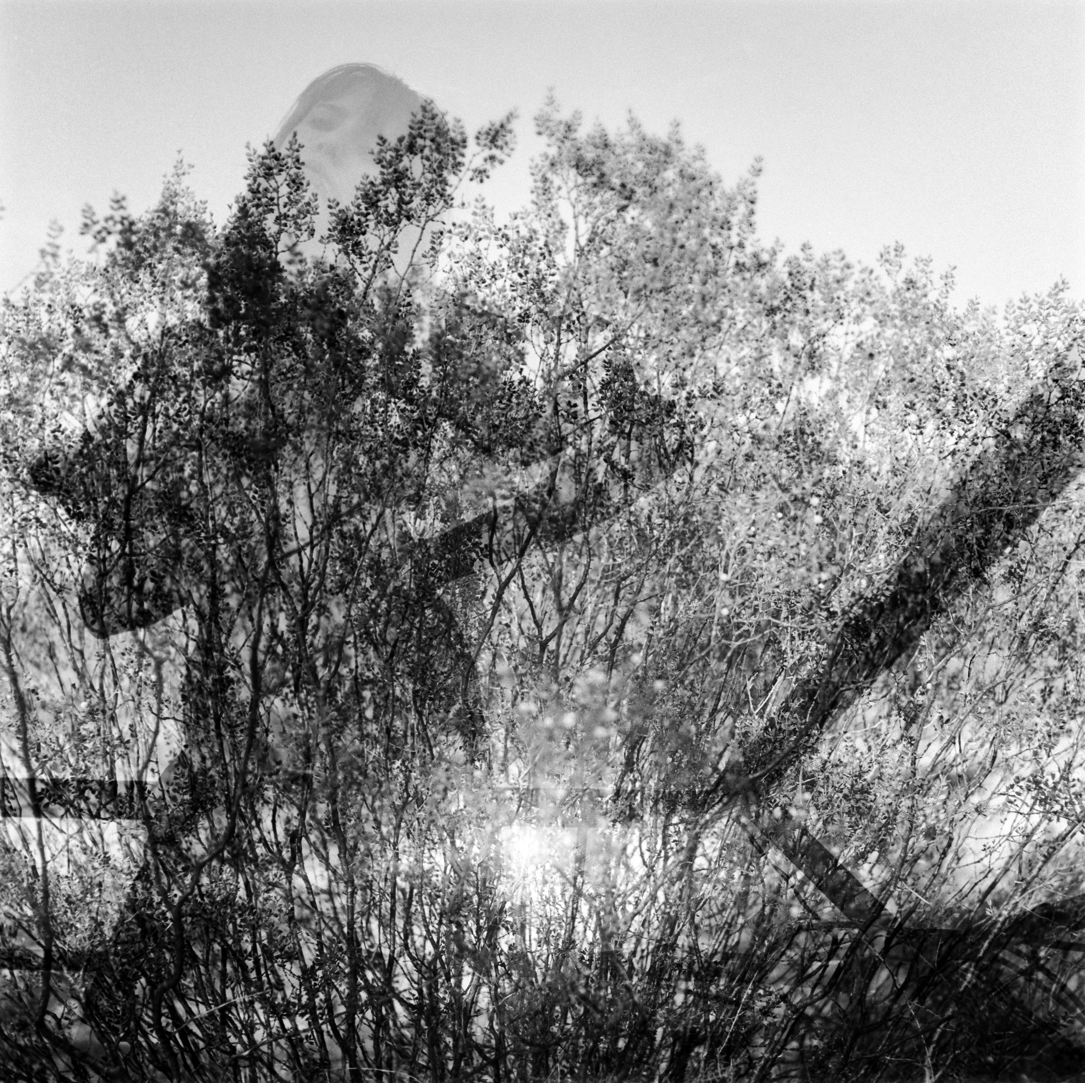 Pictorialistic photographic monotype.
Double negative optical overlapping.
3761px X 3753px 300dpi JPG 1/1 file.

120mm film negative layering/overlapping technique.
Two independent shots found in qualitative time.
Photographed inside Beseler enlarger directly to light.
Via Nikon D750 + Nikkor 55mm macro lens.

Cameras:
Voigtländer Bessa 1932 6x9cm negative.
Rolleiflex Automat 1933 6x6cm negative.

"To bloom between the interstices of the crumbling shadows. The emotional map of the drift towards terraces. Structures do not perceive emotions, they succumb to the delicacy of the ephemeral."

Optional worldwide shipping of one hand developed physical print, Fomabrom fiber based paper, silver emulsion, 50cm x 50cm.

Gino Battiston. Argentina, 1975.
Photographer, cinematographer; 20 years of artistic career. Photography as an element of uniqueness, of deliberately unrepeatable production. He stalks ephemeral points of view, unexpected results. Chaosmosis of the immanently virtual.