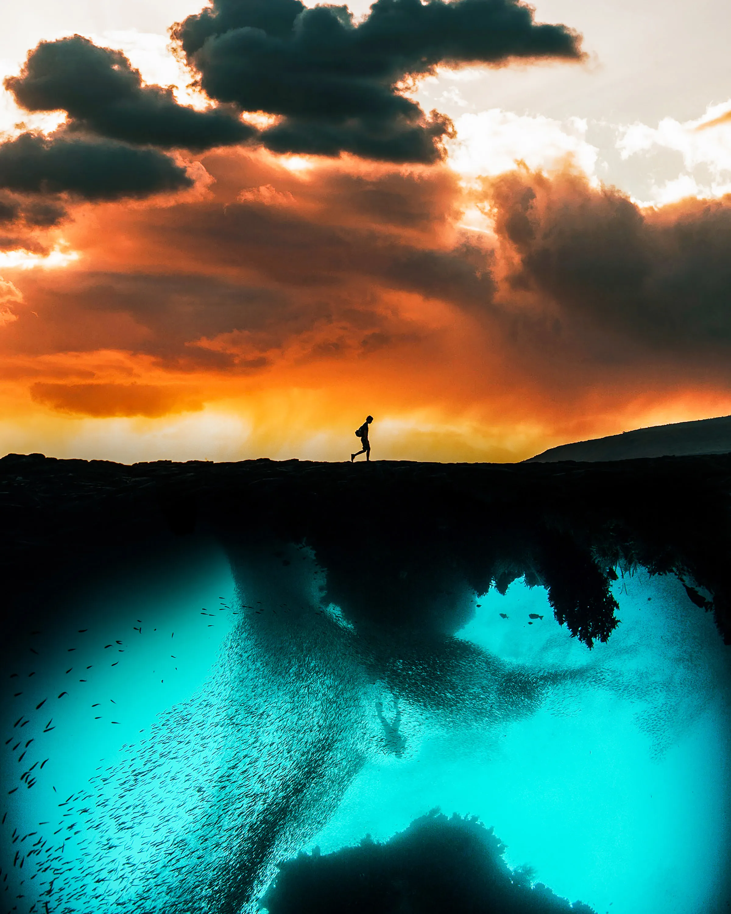a journey to discover the unknown.

Created in Photoshop | 2017
2400x3000 | 1/1