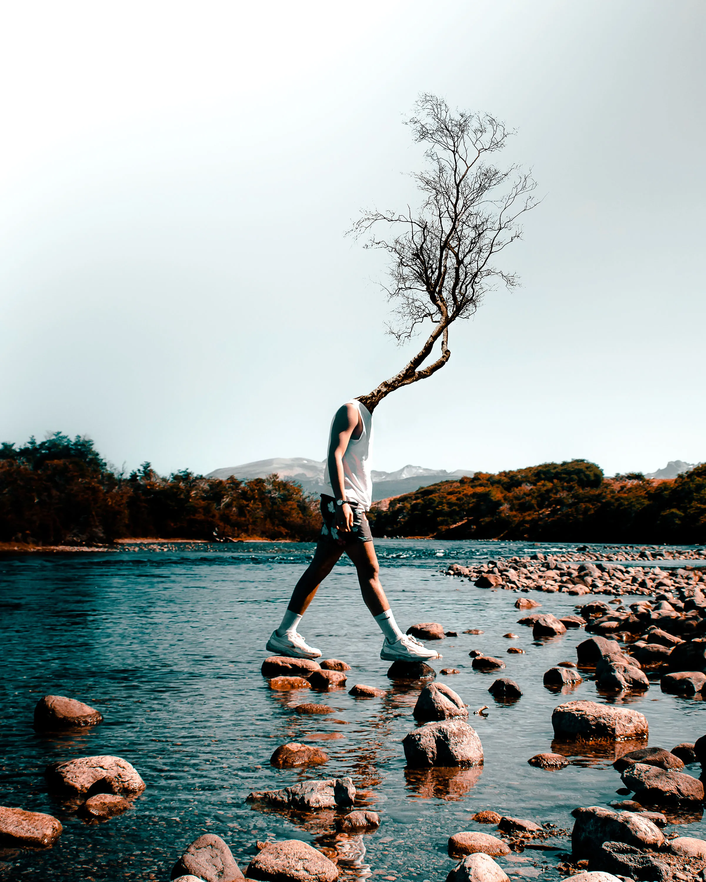 every step you take leads you down a different path.
change is inevitable. growth is part of the process.

Created in Photoshop | 2019
2400x3000 | 1/1