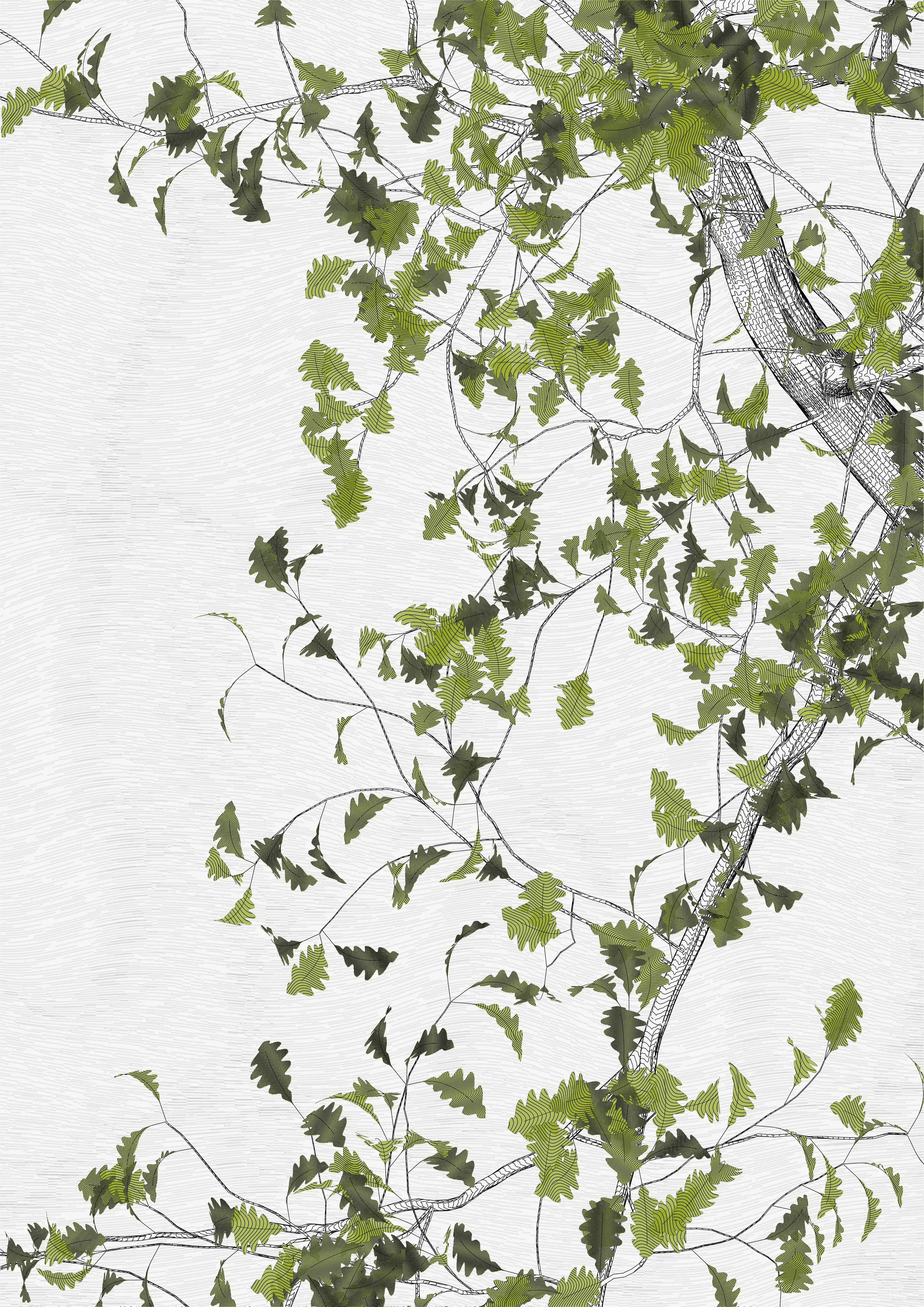 — In the spring of 2021, I carried out a set of research for the rendering of vector trees with programming code, with the aim of making plotter drawings.
My work began to focus on tight and immersive framing in order to refine the rendering of the bark — and to pay tribute to a childhood spent hidden in the foliage of oaks. This resulted in a A4 drawing of dense leaves scattered around the slightly off-center mass of a solid trunk.

To my surprise, I found out that the code was actually calculating the entire tree, showing only a small window.

Then began a patient discovery of the hidden parts, computing and drawing one sample after another.
It was only after hundreds of hours of plotting and after all the drawings had been framed and hung that I was able to watch the Oak in its majestic entirety.

Parts coordinates refer to the position relative to the first drawing revealed, which is at #0,0

—
The Oak Tree part #-1,0
High resolution PNG 4200 x 5920 
Custom javascript code