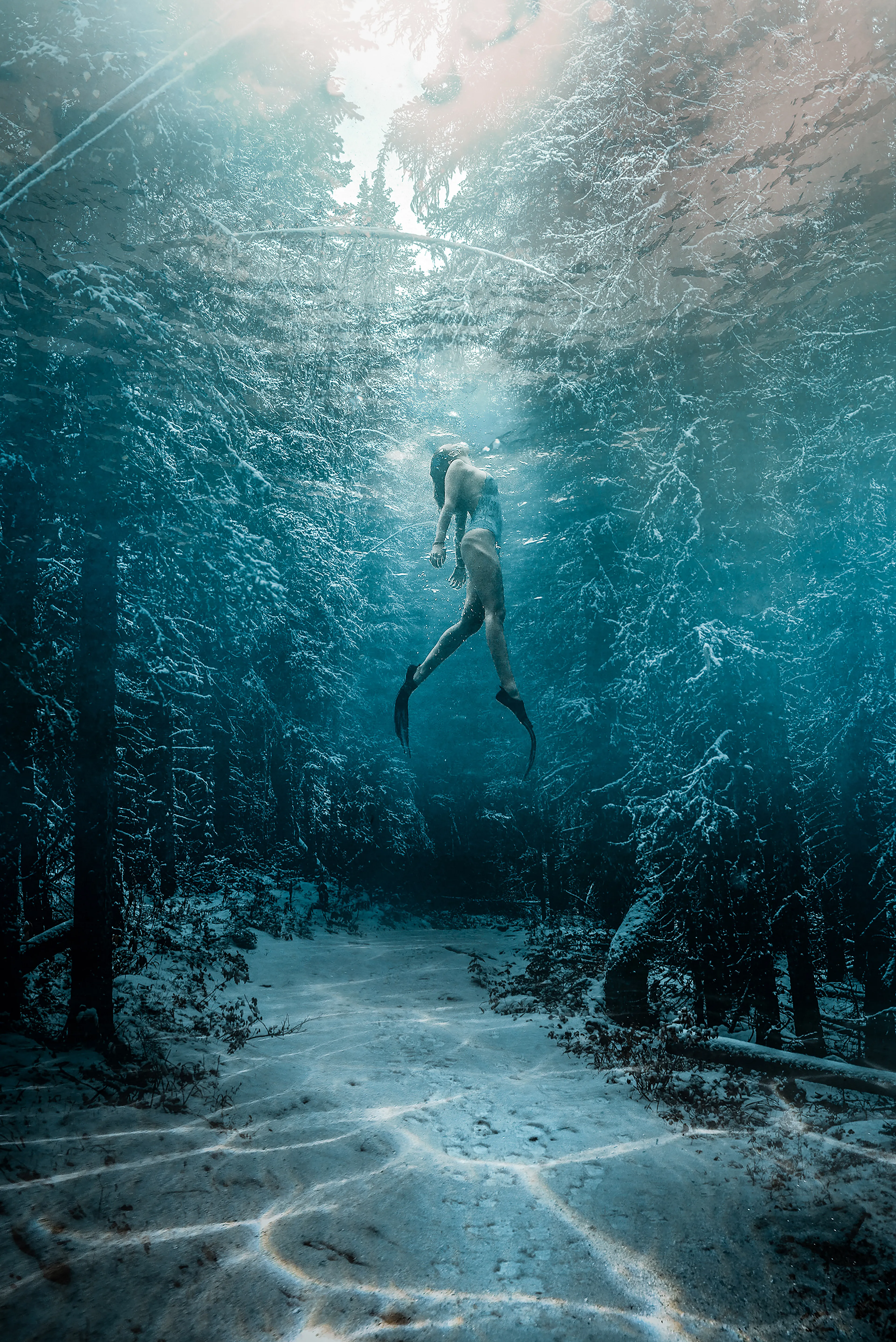 adapting to the environmental changes
of the aquatic underwater forest.

Created in Photoshop | 2017
4006x6000 | 1/1