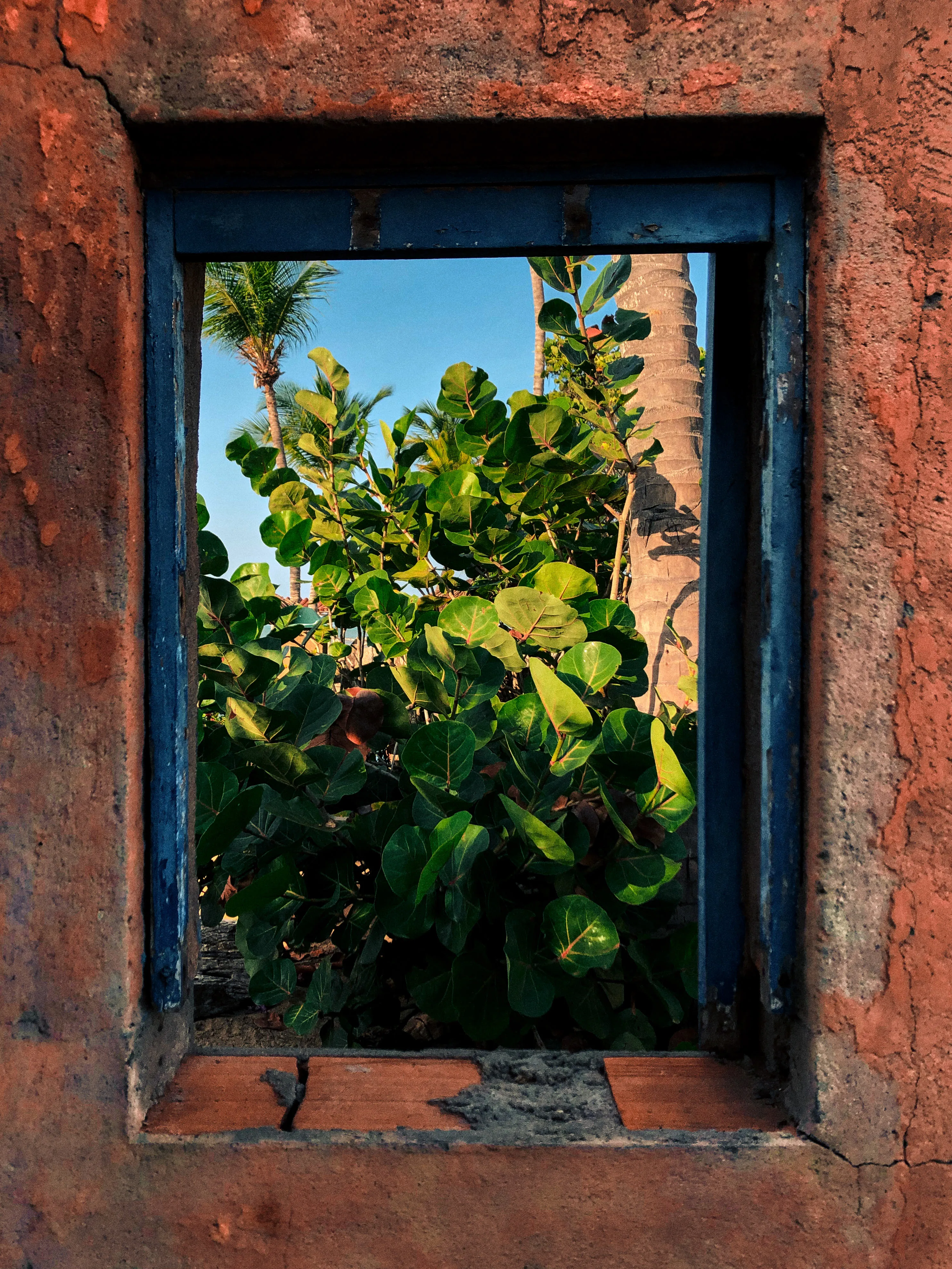 Dimensions: 2972 × 3962

Have a deep and relaxing look into a different perspective of the architecture and vegetation of Boca de Uchire, Anzoategui, Venezuela.
