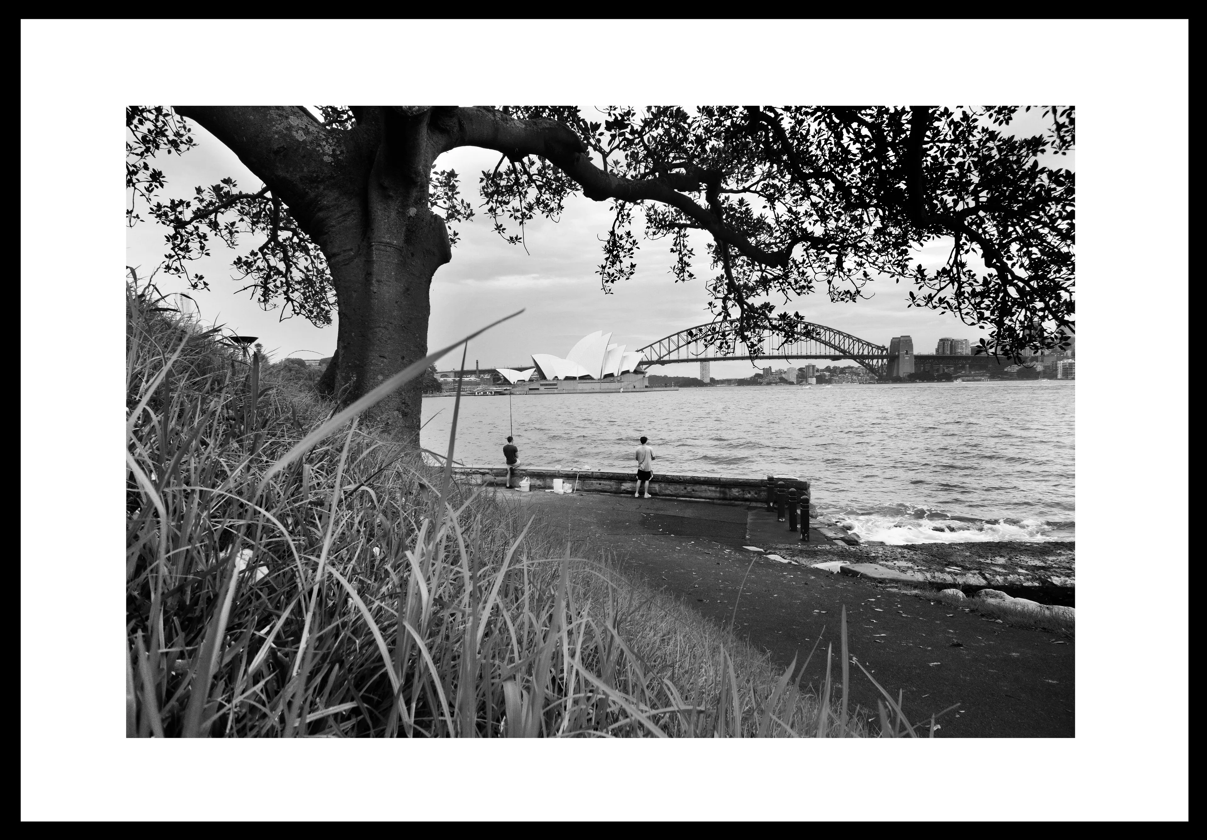 In January 2021 Sydney Harbour was empty, there were no tourists, and people were afraid to leave their homes due to the pandemic.

Yet ... the world persisted.  The grass, the trees and the city engaged with each other while the humans hid away.

And... so did friendship.  "Fishing Friends" is about companionship, courage and our pastimes during the worst pandemic in 100 years.

"A Thousand Words" is an open-ended series of my best and most personal work.  Many of the themes from images in the series made in 2021 relate to the pandemic and the way it changed us (or didn't).

For as long as the purchaser owns this NFT, they hold the exclusive right to reproduce it or use it commercially without restriction, with attribution to me.