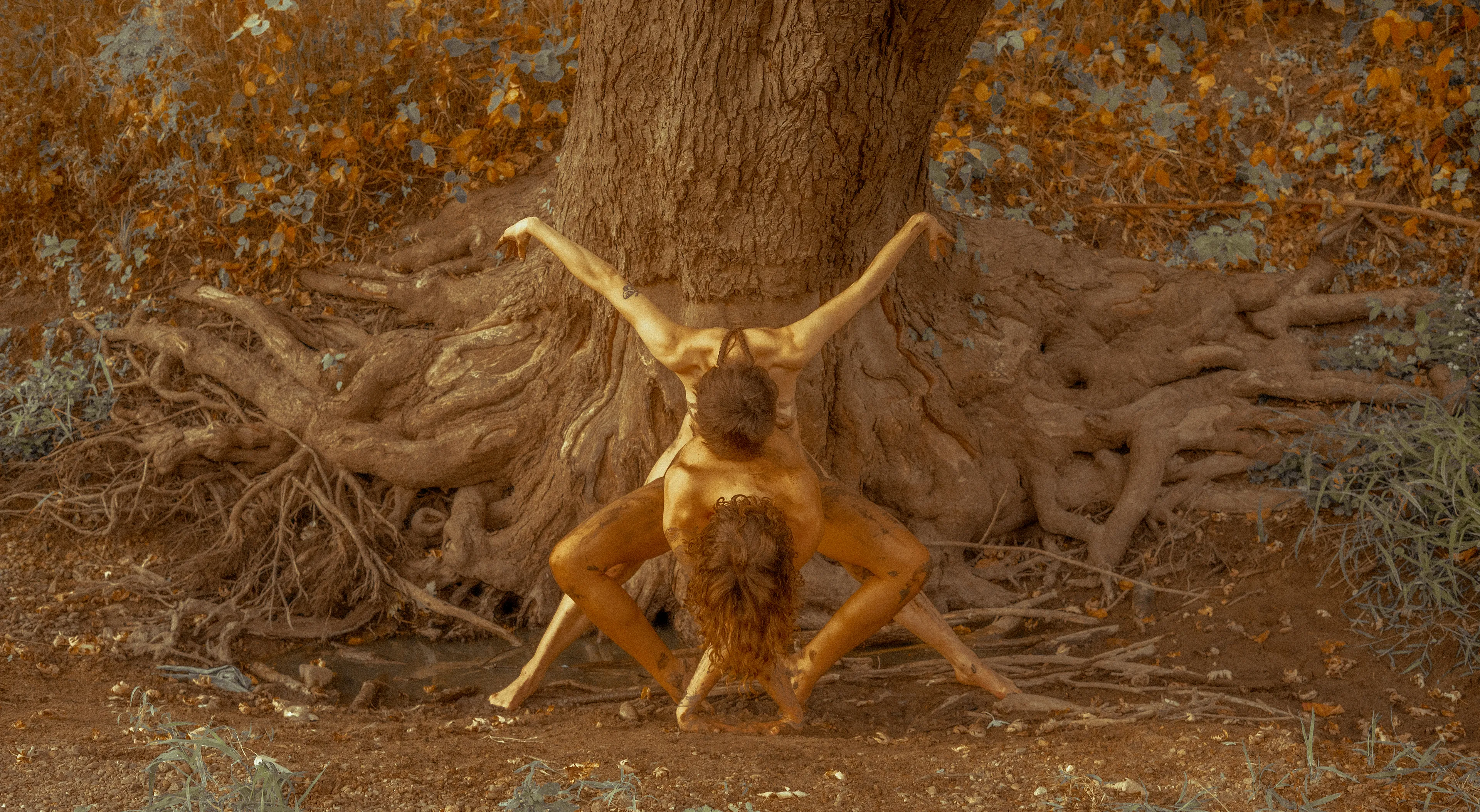 In-between the infinite soil and mutable flesh. 

Shot in September of 2021. 