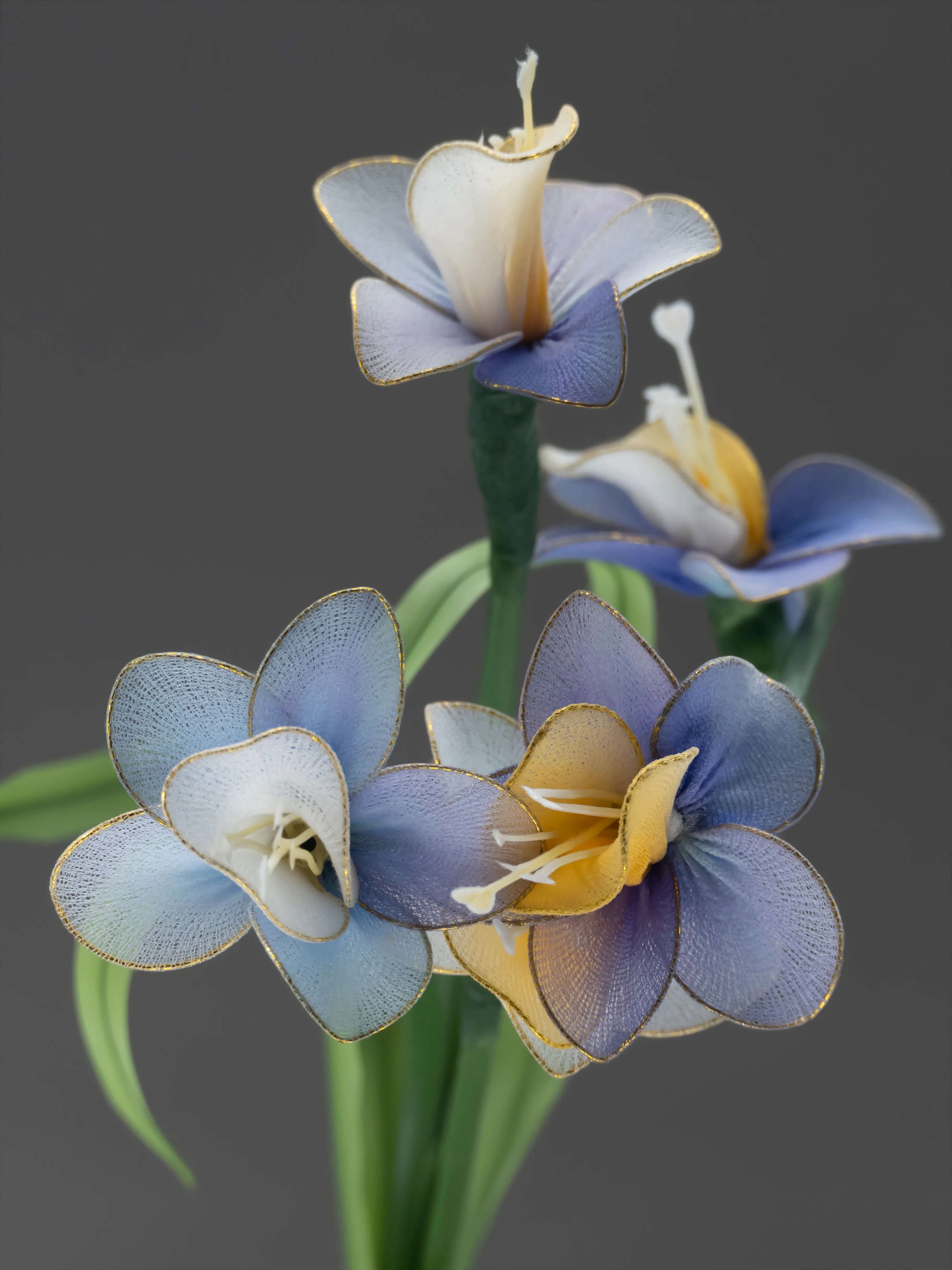Fleurs d'Artifice is an ongoing series dedicated to Chance, the gardener.