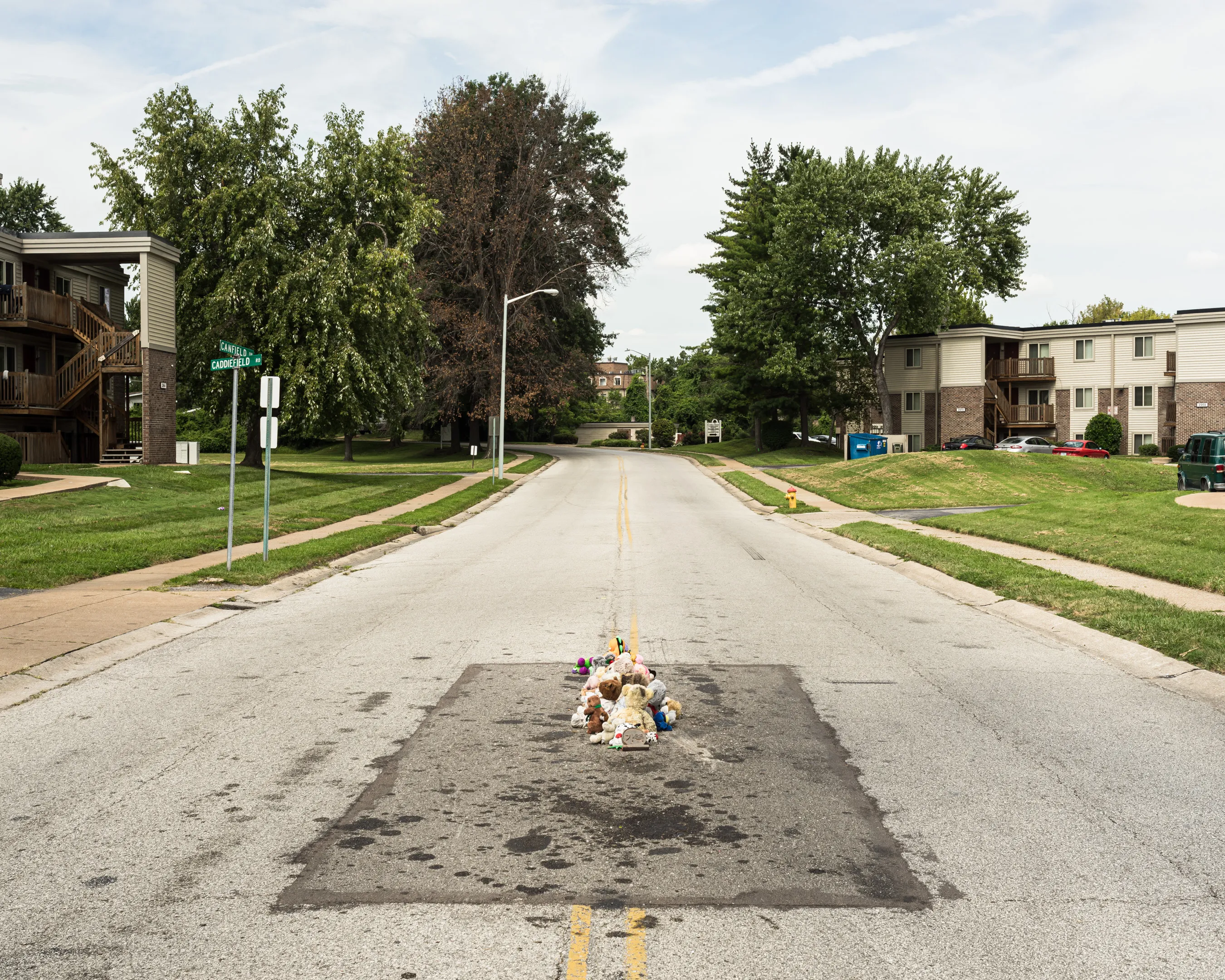 ​The Murder of Michael Brown, Ferguson, Missouri, 2016

Originally ​produced in collaboration with Vanity Fair. A Bleak Reality has been collected by Metropolitan Museum of Art, Guggenheim Museum, Museum of Modern Art, and the Schomburg Center, to name a few.

​"​A Bleak Reality documents sites of the murder of unarmed black men at the hands of the police. While each one represents a single life and death, the photographs speak to the greater epidemics of institutionalized racism and violence against the black community, and black men in particular. These social divisions and a startling lack of empathy are compounded by the perpetuation of denigrating and dangerous stereotypes. Graves is able to evoke a person—a life—by the absence of the figure, and creates a powerful, disquieting statement: this is a reality not only measured in numbers or statistics but in individual lives. “ + Samantha Marlow

Image size: 2700 x 2160 (4k)