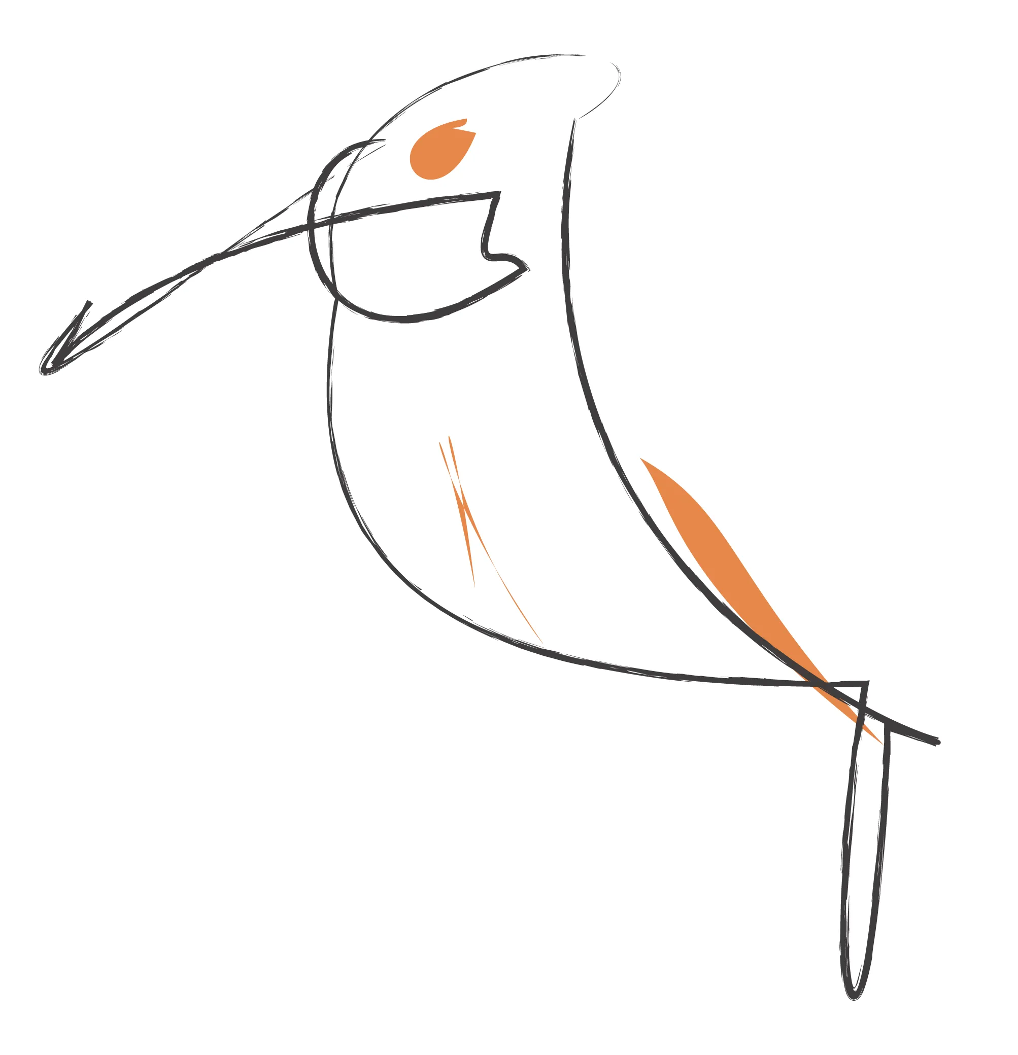 A generative system that discovers birds.
Using CLIP (Contrastive Language–Image Pre-training) and DiffVG (Differentiable Vector Graphics Rasterization).

Unlimited resolution PDF available to collectors upon request.