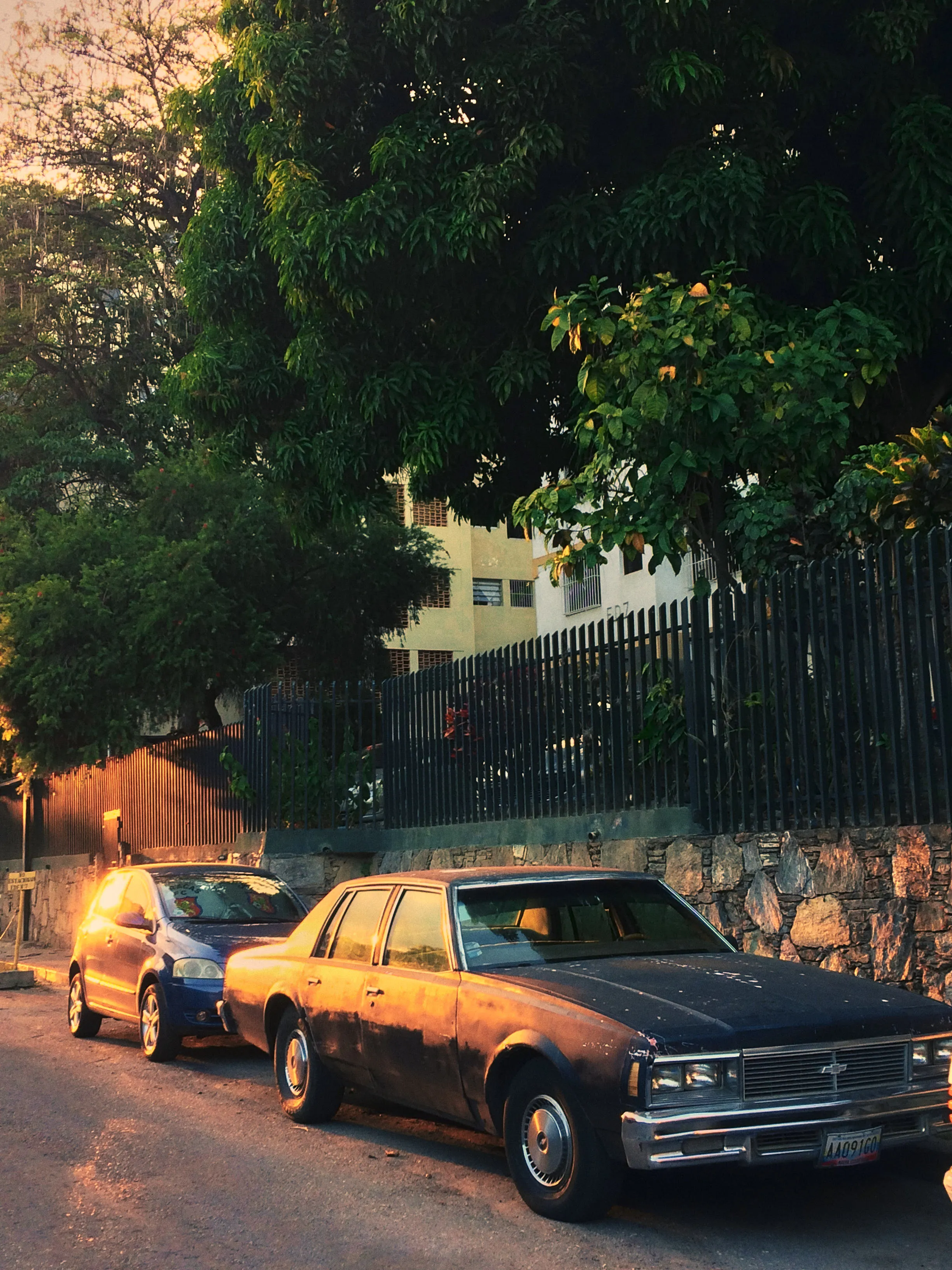 Dimensions: 2448 × 3264

At the right time of the year a light comes through the buildings i grew up in and shower the street from where my wife grew up. 

The car and the mango tree are older than us.