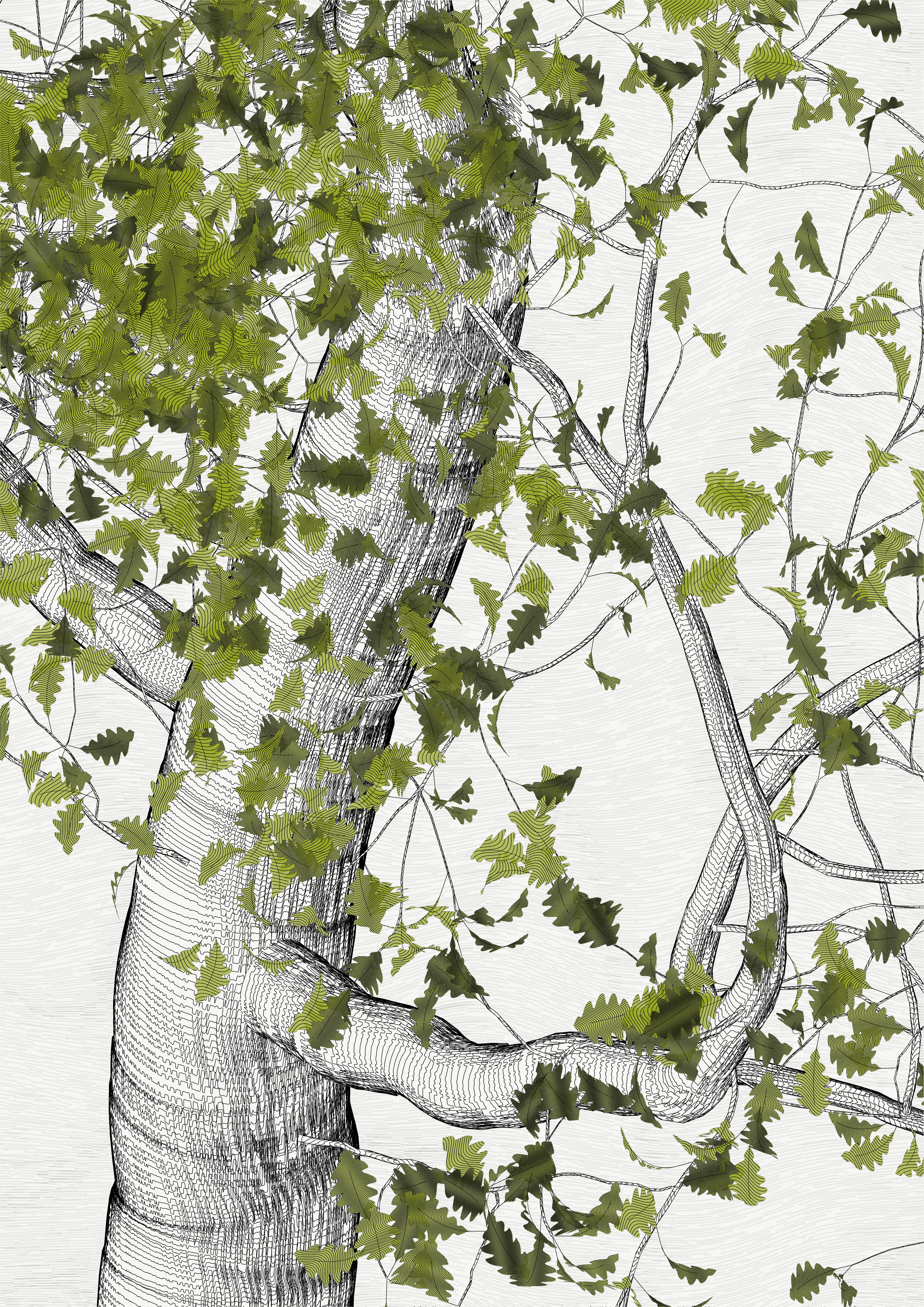 — In the spring of 2021, I carried out a set of research for the rendering of vector trees with programming code, with the aim of making plotter drawings.
My work began to focus on tight and immersive framing in order to refine the rendering of the bark — and to pay tribute to a childhood spent hidden in the foliage of oaks. This resulted in a A4 drawing of dense leaves scattered around the slightly off-center mass of a solid trunk.

To my surprise, I found out that the code was actually calculating the entire tree, showing only a small window.

Then began a patient discovery of the hidden parts, computing and drawing one sample after another.
It was only after hundreds of hours of plotting and after all the drawings had been framed and hung that I was able to watch the Oak in its majestic entirety.

Part #0,0 refers to the original drawing from which is all began.

—
The Oak Tree part #0,0
High resolution PNG 4200 x 5920 
Custom javascript code