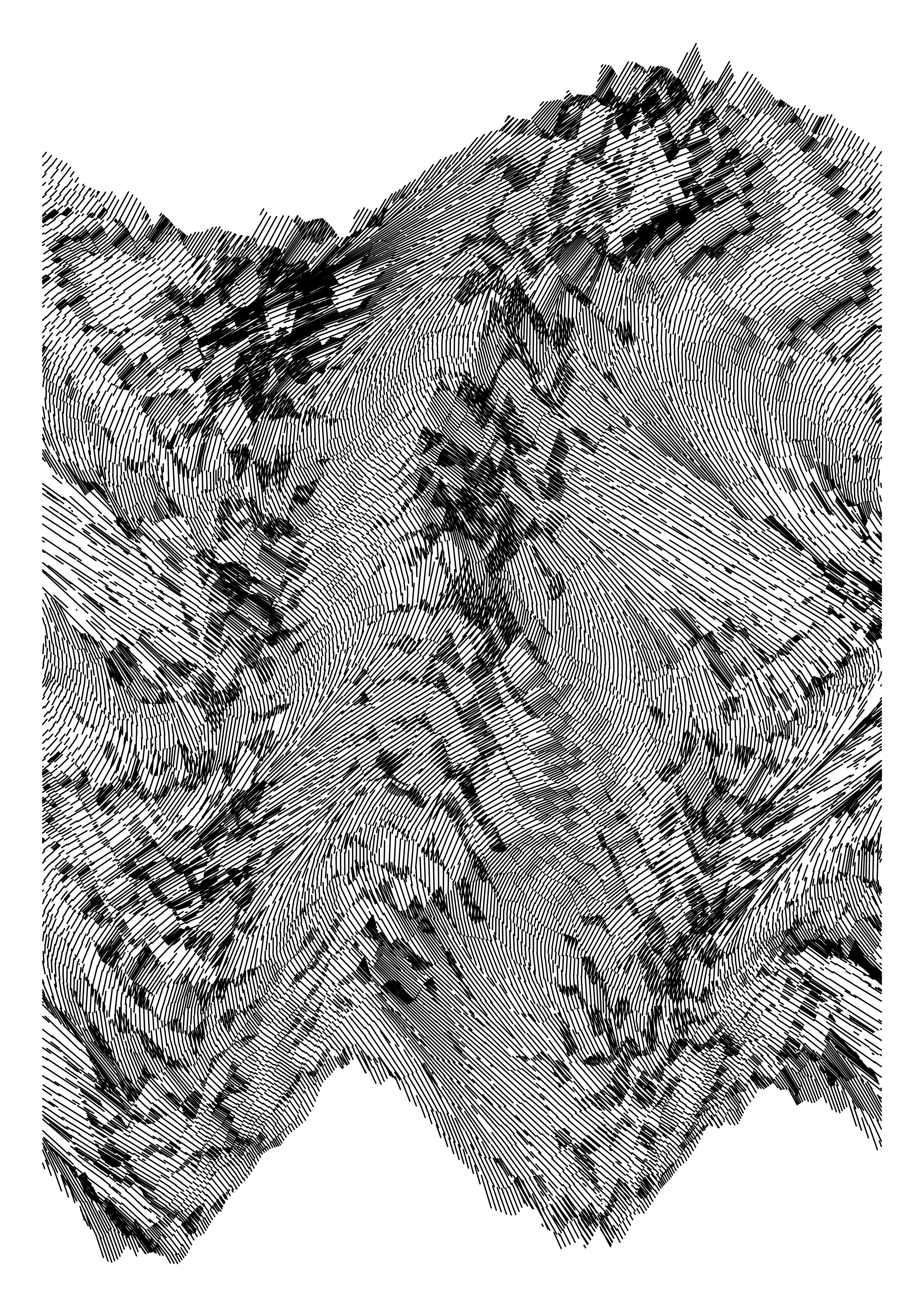 Made with Processing | 4000 x 5657 px