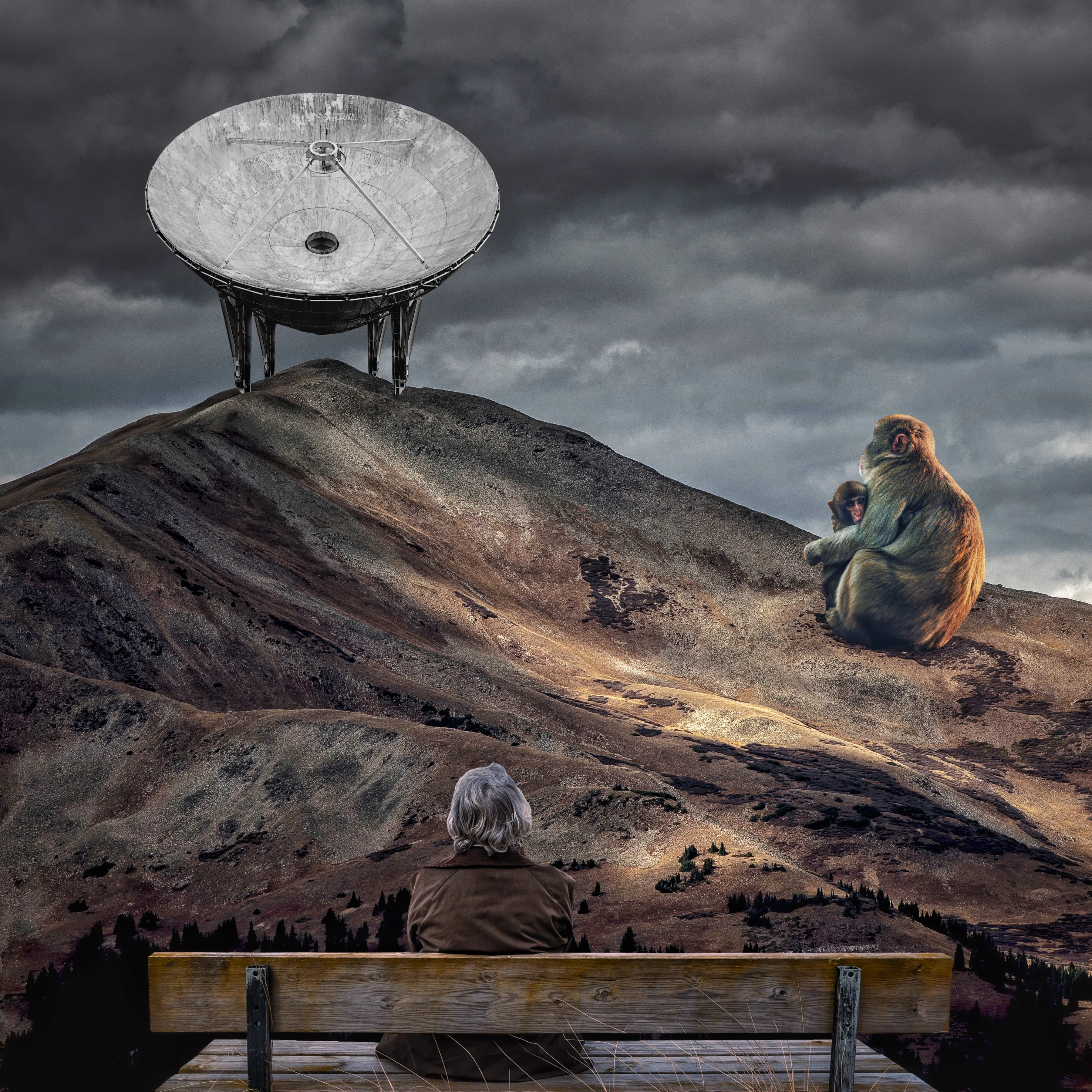 Waiting
by: iuri kothe
id: iuridclgs20170225
year: 2017
date started: 20170225
date finished: 20170306
size: 3600 x 3600 px
medium: digital collage

sources:
- [mountain background by nathan anderson](https://unsplash.com/photos/Jx_mf9K9pOQ) 
- [monkeys by austin neill](https://unsplash.com/photos/y14kLWY0B3g)
- [antenna by galen crout](https://unsplash.com/photos/ZYecenZy7o4) 
- [old man sitting by mikael kristenson](https://unsplash.com/photos/3f4sQIums6k)