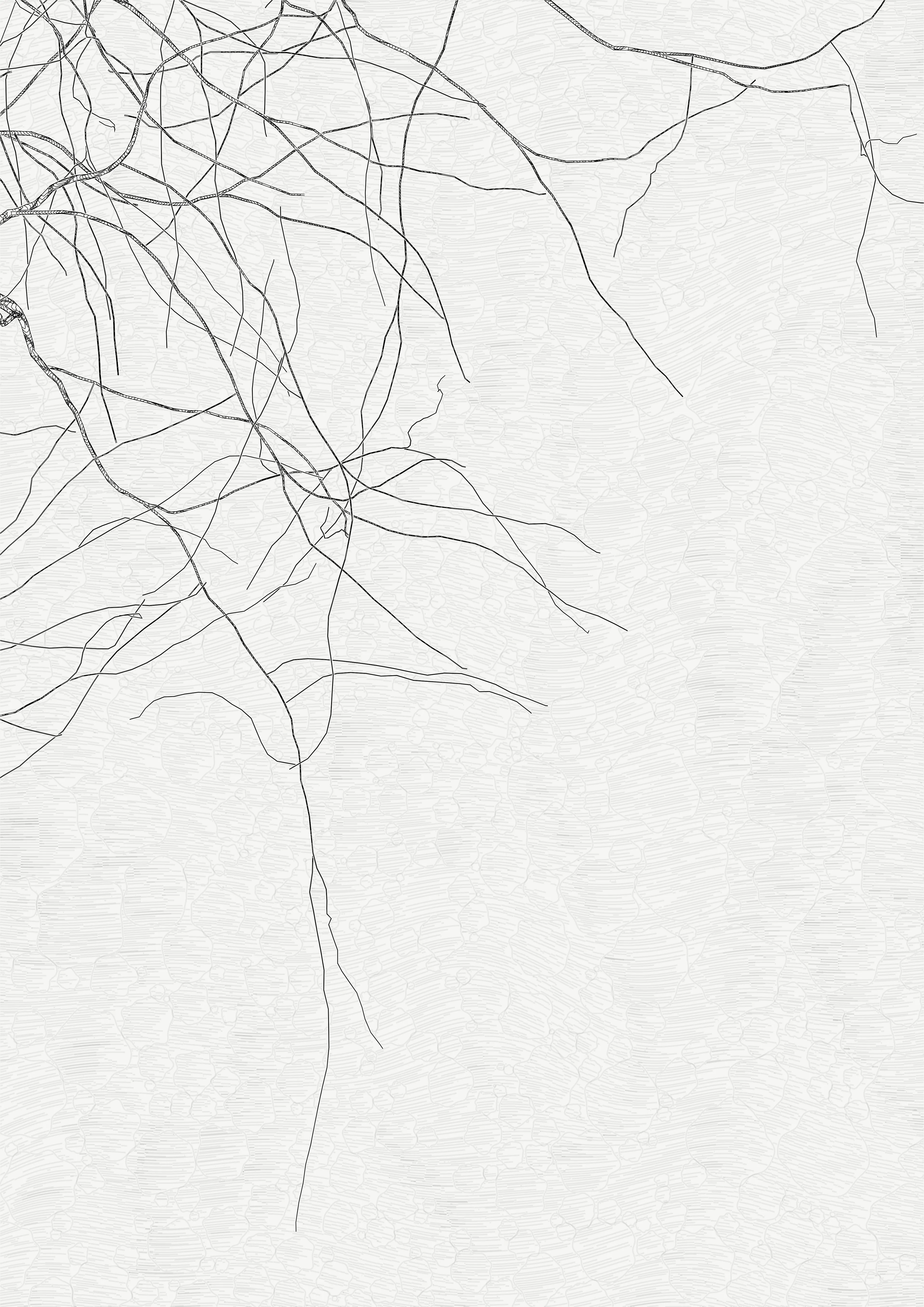 — In the spring of 2021, I carried out a set of research for the rendering of vector trees with programming code, with the aim of making plotter drawings.
My work began to focus on tight and immersive framing in order to refine the rendering of the bark — and to pay tribute to a childhood spent hidden in the foliage of oaks. This resulted in a A4 drawing of dense leaves scattered around the slightly off-center mass of a solid trunk.

To my surprise, I found out that the code was actually calculating the entire tree, showing only a small window.

Then began a patient discovery of the hidden parts, computing and drawing one sample after another.
It was only after hundreds of hours of plotting and after all the drawings had been framed and hung that I was able to watch the Oak in its majestic entirety.

Parts coordinates refer to the position relative to the first drawing revealed, which is at #0,0

—
The Oak Tree part #+1,-2
High resolution PNG 4200 x 5920 
Custom javascript code
