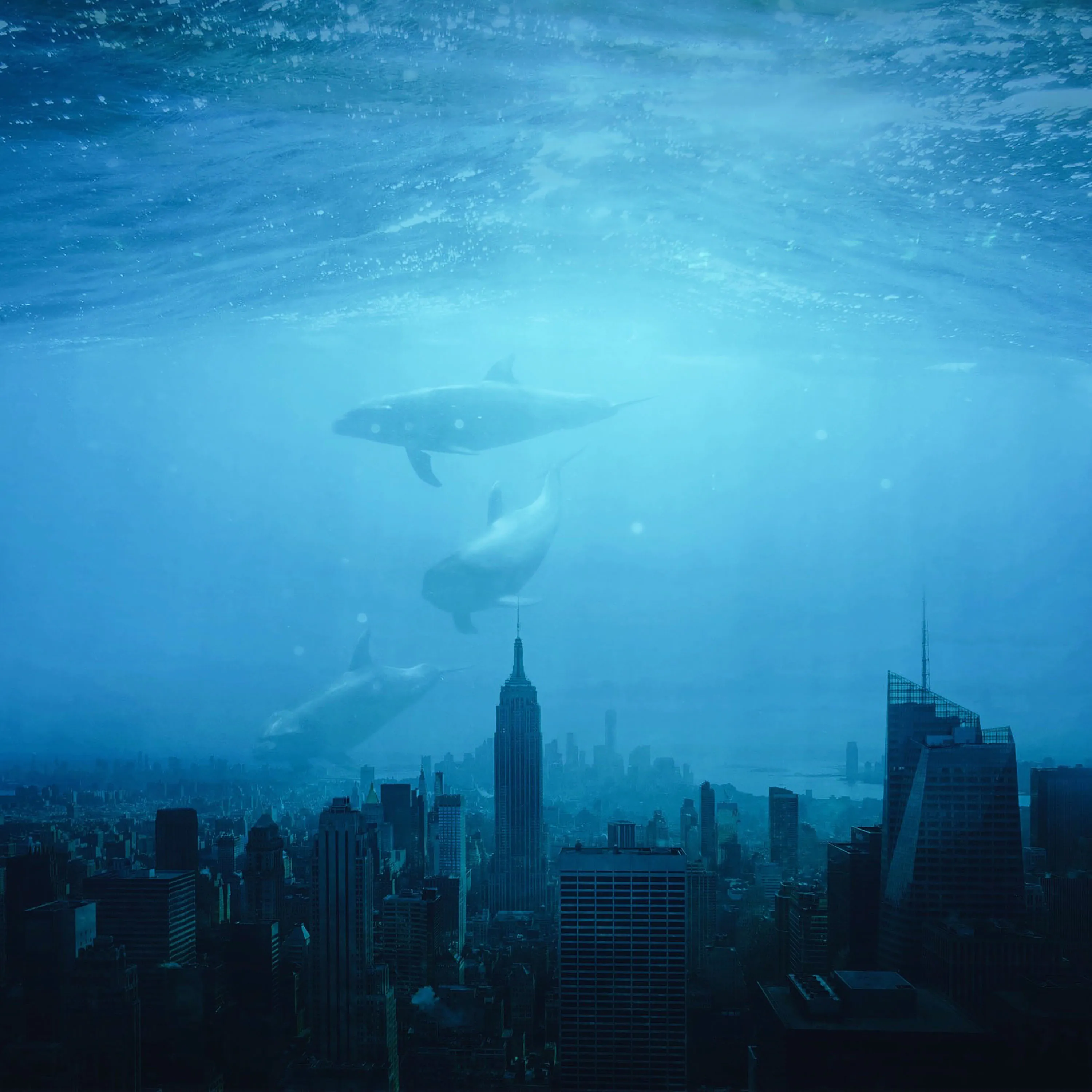diving deep with the dolphins
into the blue darkness that lies below

Created on PicsArt | 2016
3000x3000 | 1/1
