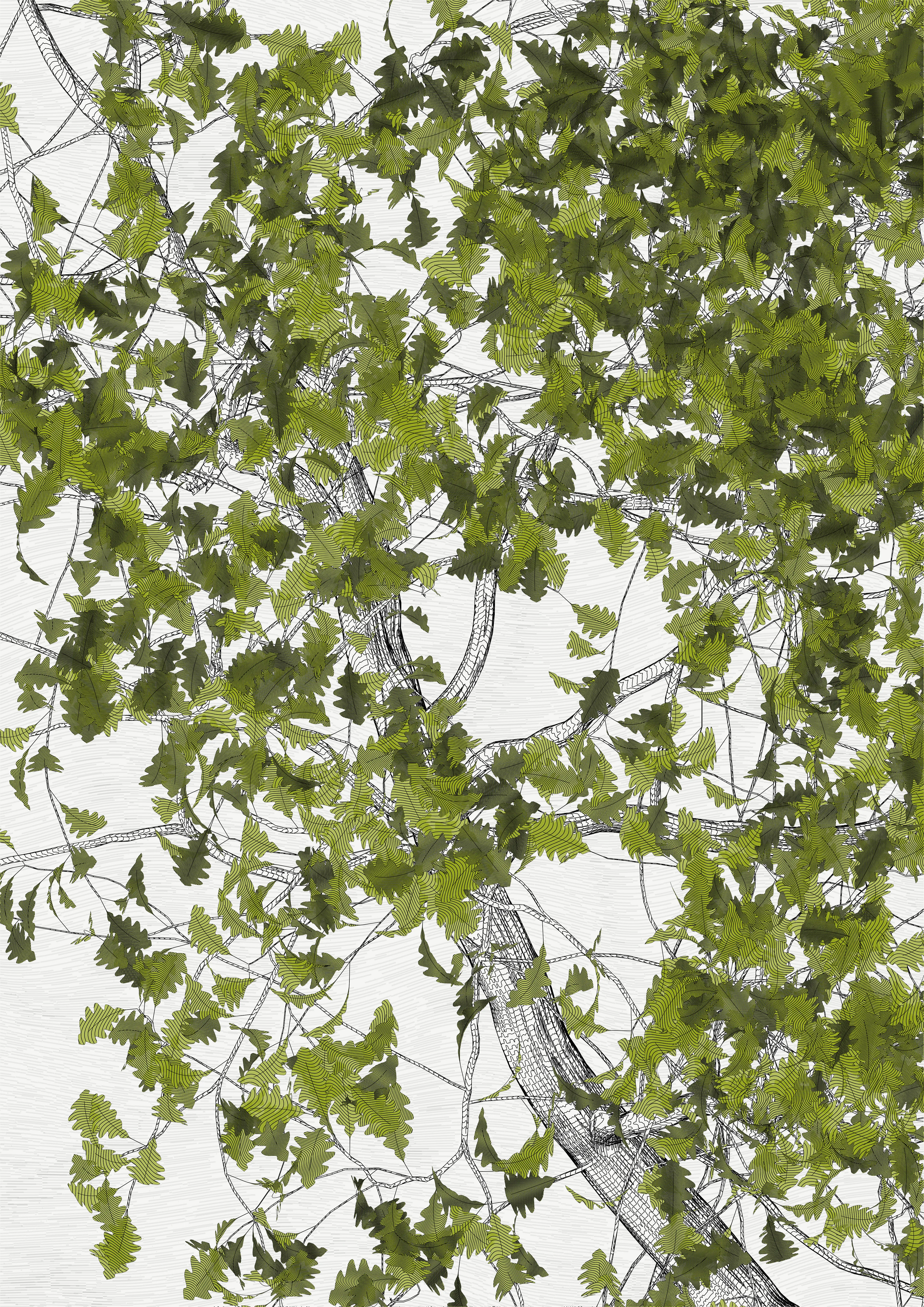 — In the spring of 2021, I carried out a set of research for the rendering of vector trees with programming code, with the aim of making plotter drawings.
My work began to focus on tight and immersive framing in order to refine the rendering of the bark — and to pay tribute to a childhood spent hidden in the foliage of oaks. This resulted in a A4 drawing of dense leaves scattered around the slightly off-center mass of a solid trunk.

To my surprise, I found out that the code was actually calculating the entire tree, showing only a small window.

Then began a patient discovery of the hidden parts, computing and drawing one sample after another.
It was only after hundreds of hours of plotting and after all the drawings had been framed and hung that I was able to watch the Oak in its majestic entirety.

Parts coordinates refer to the position relative to the first drawing revealed, which is at #0,0

—
The Oak Tree part #-1,+1
High resolution PNG 4200 x 5940 
Custom javascript code