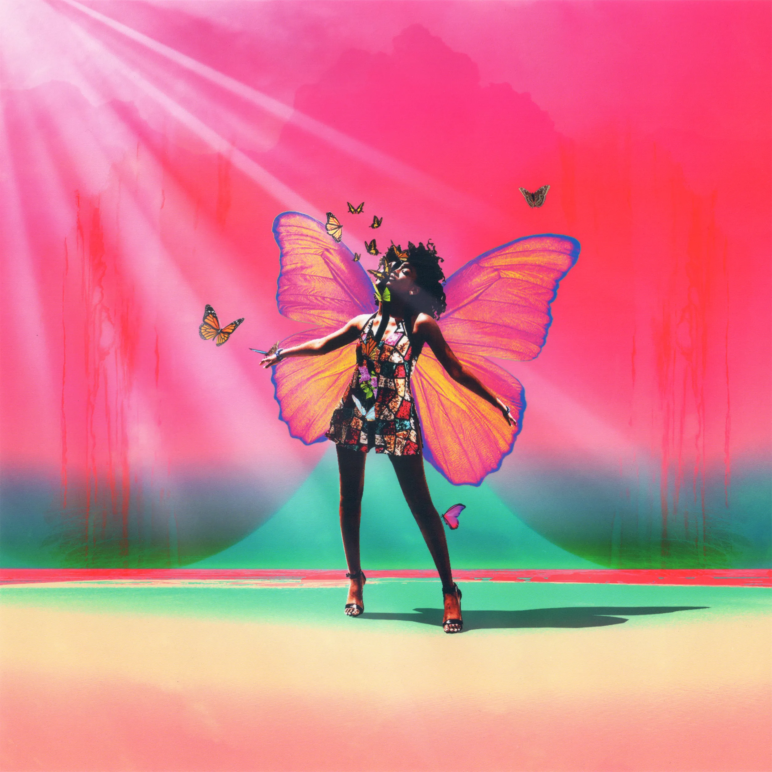 This is the first piece of four in the Afrobutterfly Series.

The piece speaks to the idea of being the change you want to see in the world, and is partly inspired by this quote:

“Once upon a time, I dreamt I was a butterfly, fluttering hither and thither, to all intents and purposes a butterfly. I was conscious only of my happiness as a butterfly, unaware that I was myself. Soon I awaked, and there I was, veritably myself again. Now I do not know whether I was then a man dreaming I was a butterfly, or whether I am now a butterfly, dreaming I am a man.”

― Zhuangzi, The Butterfly as Companion: Meditations on the First Three Chapters of the Chuang-Tzu

_________


Artwork information:
2,500 X 2,500 px