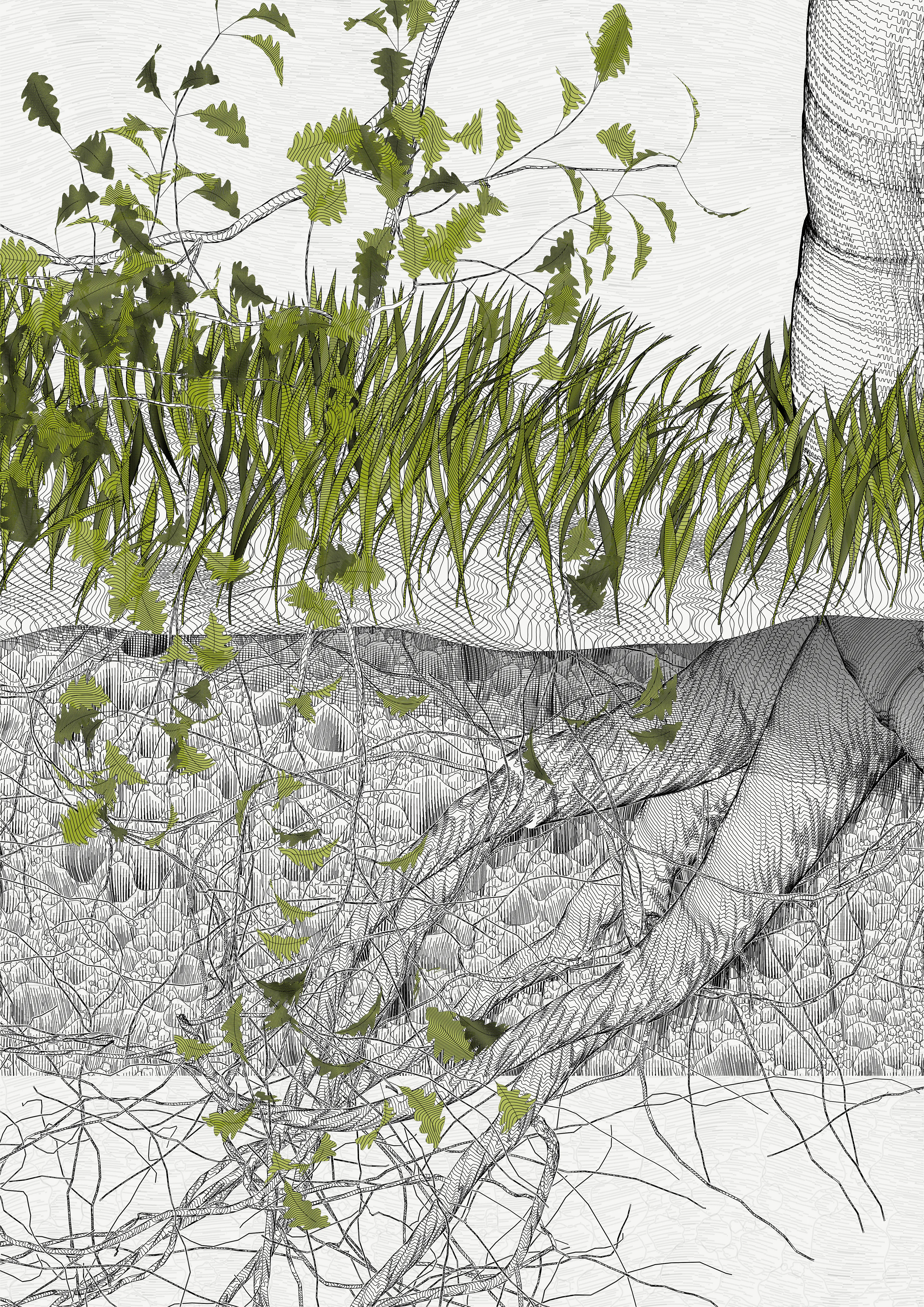 — In the spring of 2021, I carried out a set of research for the rendering of vector trees with programming code, with the aim of making plotter drawings.
My work began to focus on tight and immersive framing in order to refine the rendering of the bark — and to pay tribute to a childhood spent hidden in the foliage of oaks. This resulted in a A4 drawing of dense leaves scattered around the slightly off-center mass of a solid trunk.

To my surprise, I found out that the code was actually calculating the entire tree, showing only a small window.

Then began a patient discovery of the hidden parts, computing and drawing one sample after another.
It was only after hundreds of hours of plotting and after all the drawings had been framed and hung that I was able to watch the Oak in its majestic entirety.

Parts coordinates refer to the position relative to the first drawing revealed, which is at #0,0

—
The Oak Tree part #-1,-1
High resolution PNG 4200 x 5920 
Custom javascript code