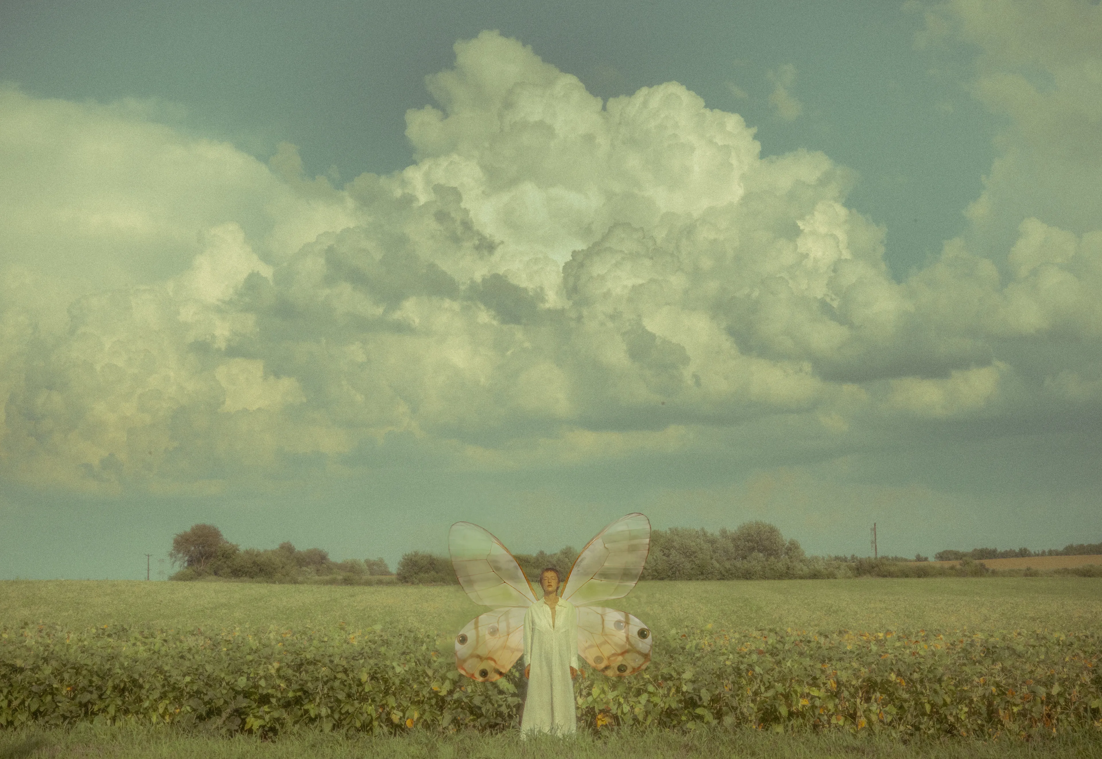 In-between field and cloud, genesis piece

The In-Between is a body of work created in the summer of 2021 contemplating humanness, spirituality and the delicate task of balancing life in a web of intricate dialectics. 

