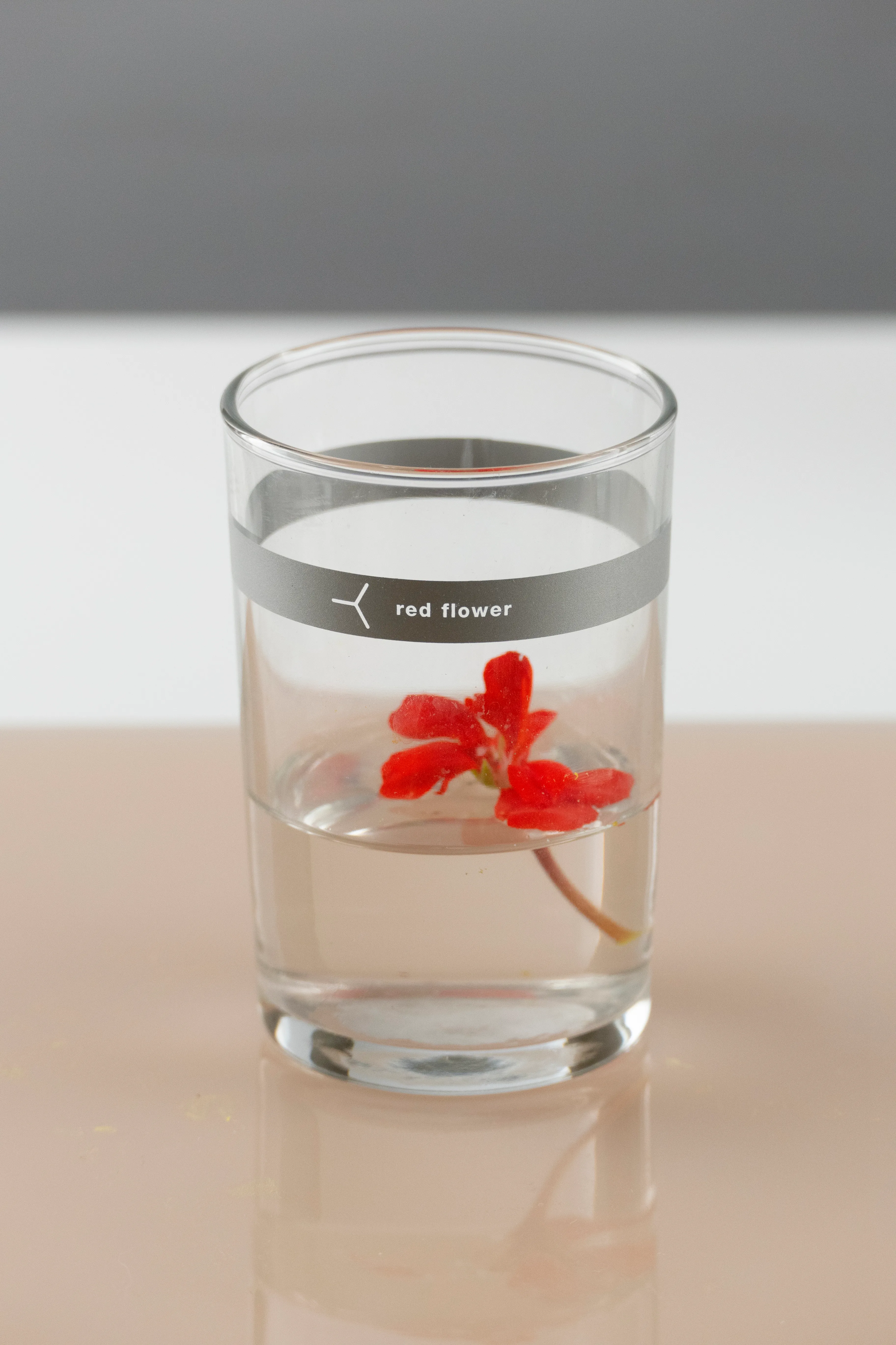 For New York's Museum of Arts and Design 65th anniversary! 

"Did you know flowers are story tellers too? This is a story of a little red geranium flower meeting a glass given to the photographer Anna Condo by a flight attendant during a long flight from Paris to New York. Geranium is one of her favorite flowers and a beloved symbol of summer. It was planted by her in her garden yet it never suspected to end up in the cool embrace of the glass, which, considered its caption, mysteriously knew they would meet. The two were ultimately brought together in Anna’s photograph, taken on August 5th, 2020 in her studio, capturing a fabulous example of a marriage between art and design." — @REBELLICCA 

https://madmuseum.org/events/mad-ball-2021