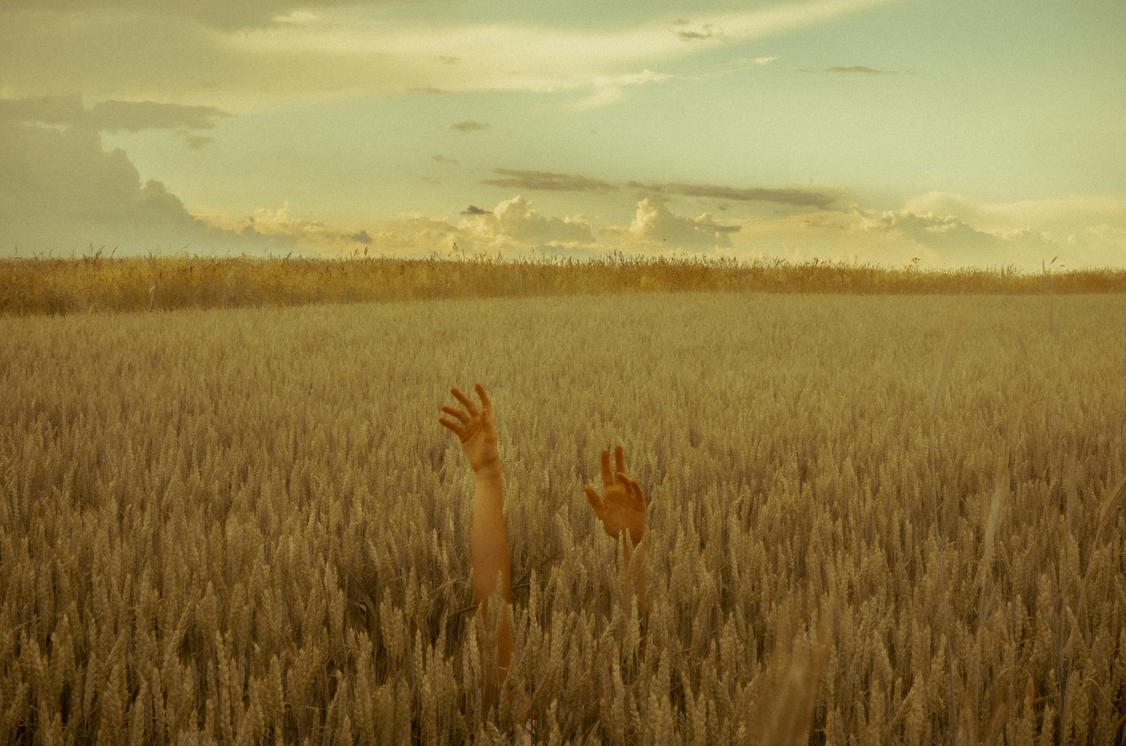 In-between knowing and unknowing. 

Shot in June, 2021. 