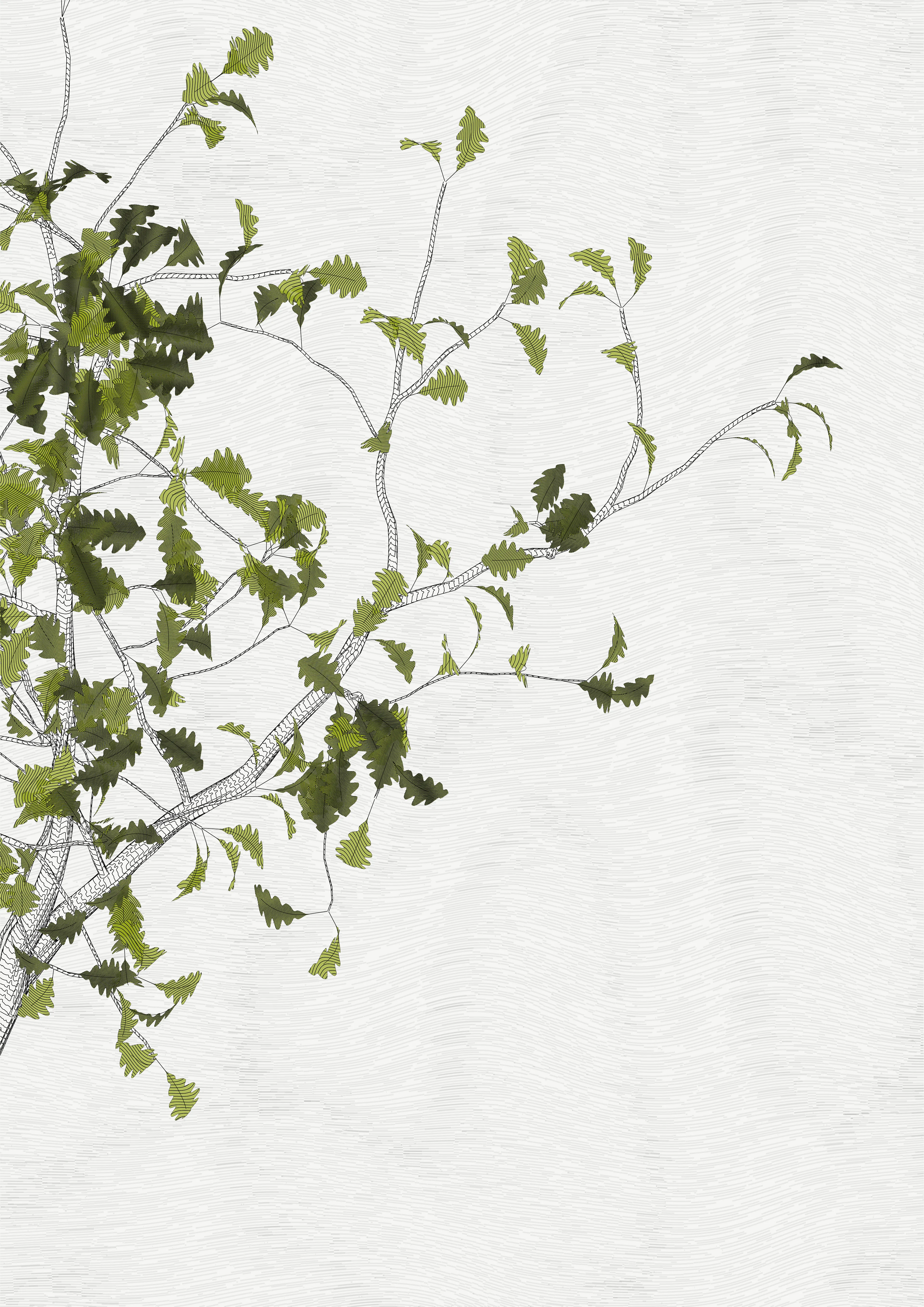— In the spring of 2021, I carried out a set of research for the rendering of vector trees with programming code, with the aim of making plotter drawings.
My work began to focus on tight and immersive framing in order to refine the rendering of the bark — and to pay tribute to a childhood spent hidden in the foliage of oaks. This resulted in a A4 drawing of dense leaves scattered around the slightly off-center mass of a solid trunk.

To my surprise, I found out that the code was actually calculating the entire tree, showing only a small window.

Then began a patient discovery of the hidden parts, computing and drawing one sample after another.
It was only after hundreds of hours of plotting and after all the drawings had been framed and hung that I was able to watch the Oak in its majestic entirety.

Parts coordinates refer to the position relative to the first drawing revealed, which is at #0,0

—
The Oak Tree part #+1,+3
High resolution PNG 4200 x 5940 
Custom javascript code