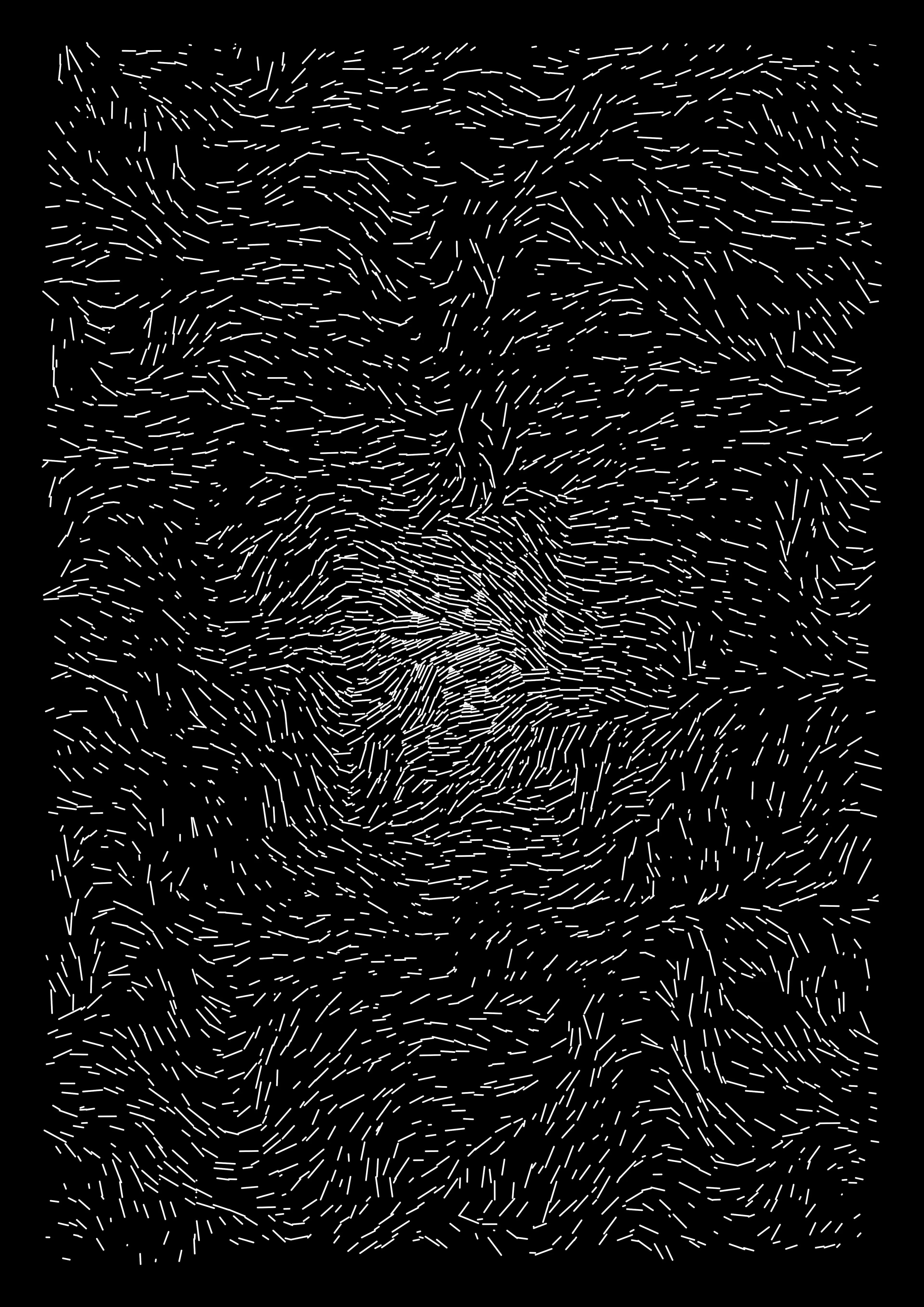 Made with Processing | 4000 x 5657 px