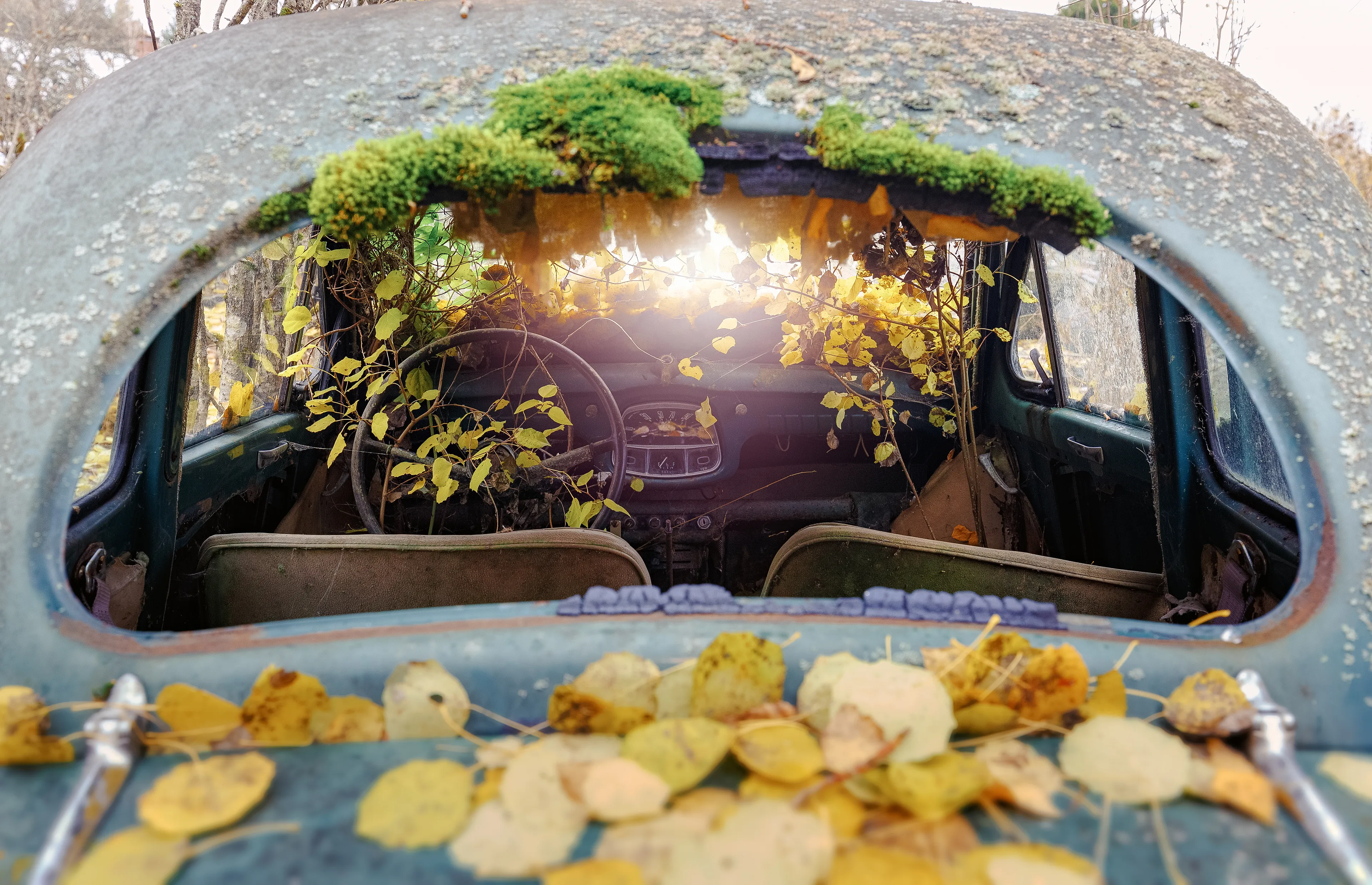 A car is more than just a means of transportation, it is something that for many of us is associated with memories.
Each of us certainly knows in which car you went on your first vacation with your parents. Or in which car you maybe drove to the first date. And the first own car always has a special place in our hearts anyway, no matter what kind of junk it was.

Today, often all that's left of the memories is the rusty residue, and the only passenger is Mother Nature. 

For years I have been hunting old wrecks in the forests or shy of Europe. This symbiosis of rust and nature paired with the beautiful shapes of the old bolides, fascinate me and exude a unique peace.

This NFT comes on request with a gallery-quality print on aluminum Dibond or acrylic. 
