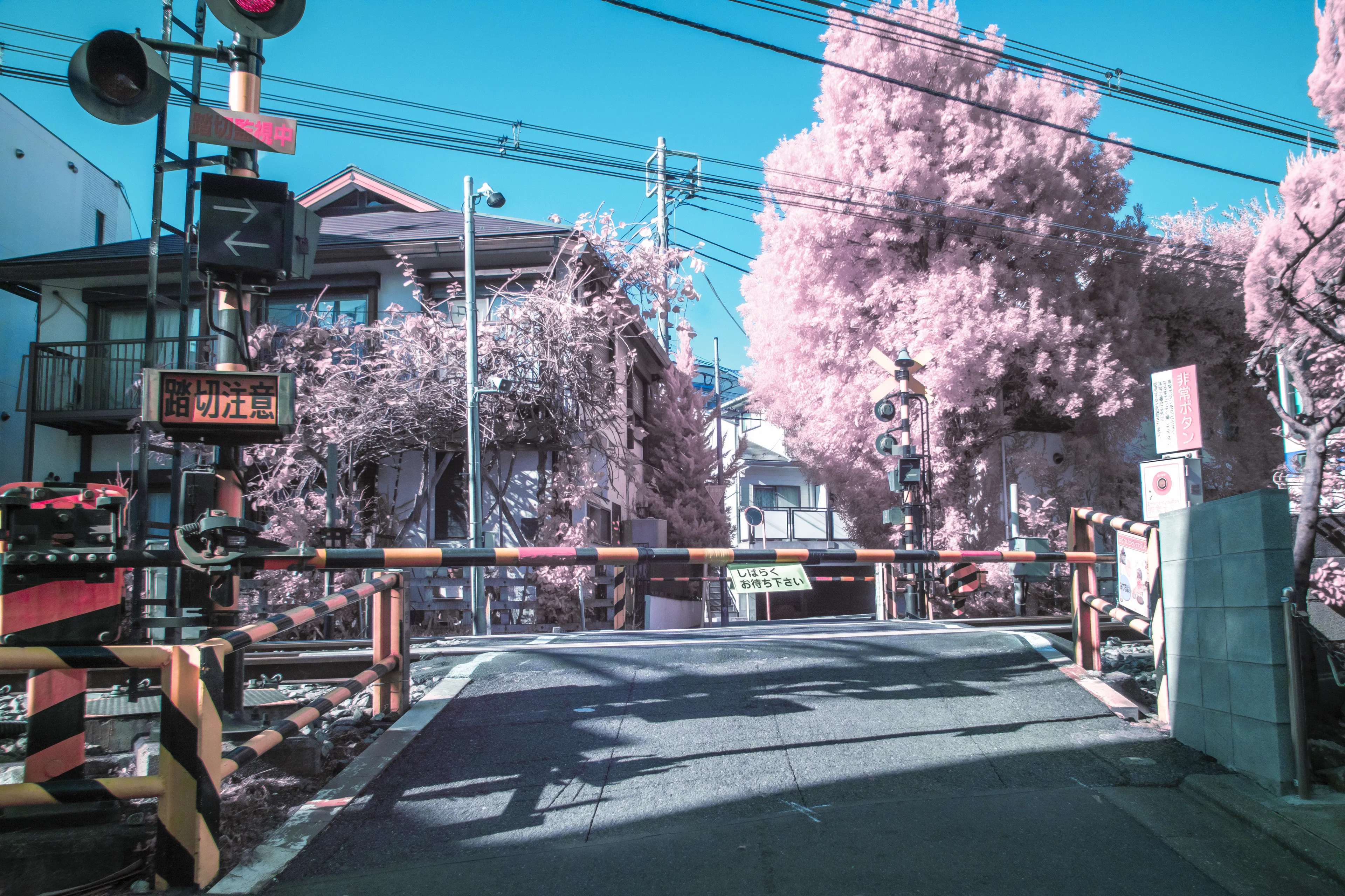 This is one of my favorite images and one that I am most proud of. It is the real-life location for an anime called 5cm per Second. I took a trip to Japan just before the Coronavirus began and took this during winter 2019. I traveled very far just to take this photo and has been one of my best images to date. It is an infrared photo used to create the pink cherry blossom effect and took the picture to reflect how the anime appears. It includes an full-sized image as well.