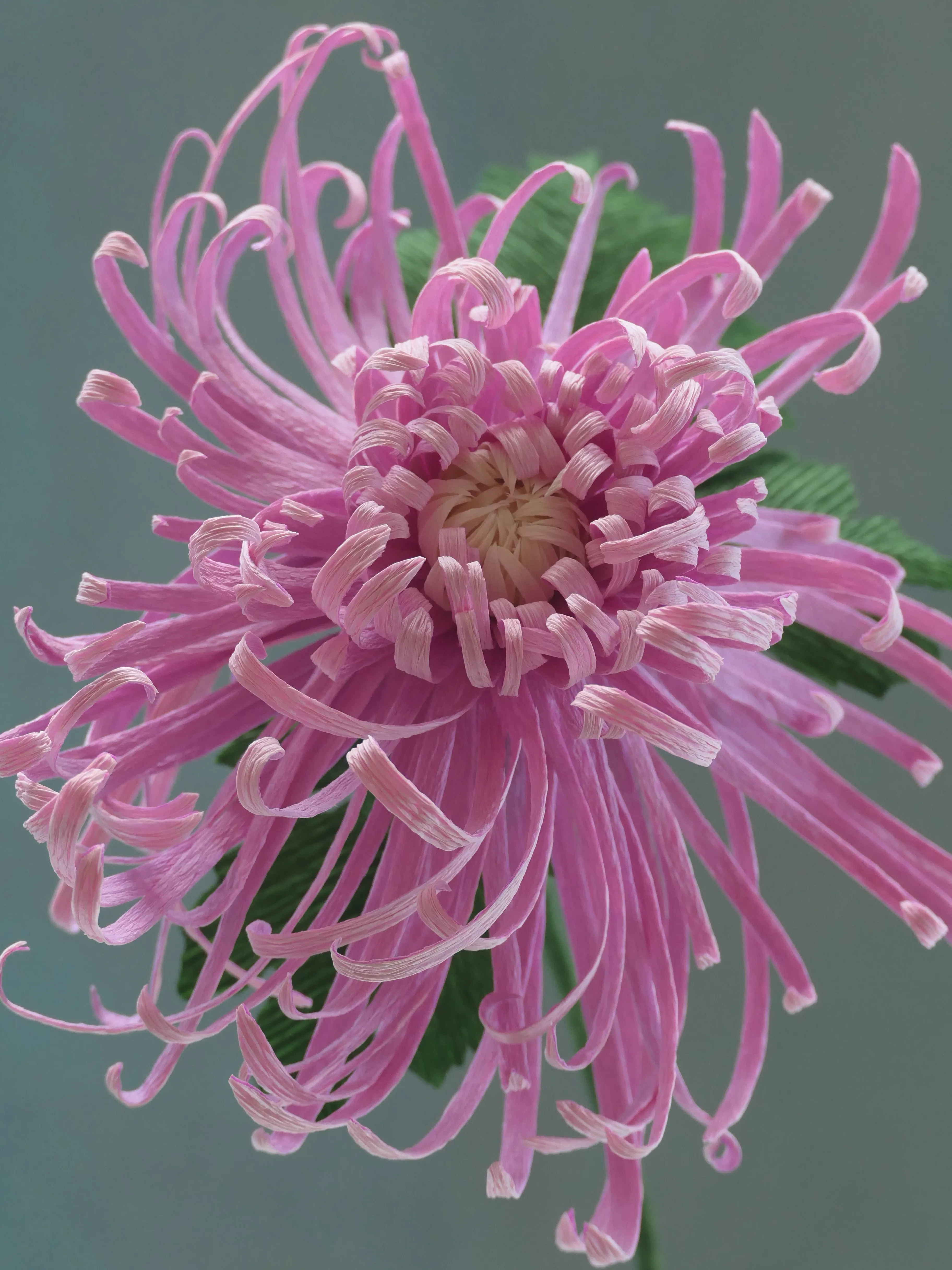Fleurs d'Artifice is an ongoing series dedicated to Chance, the gardener.