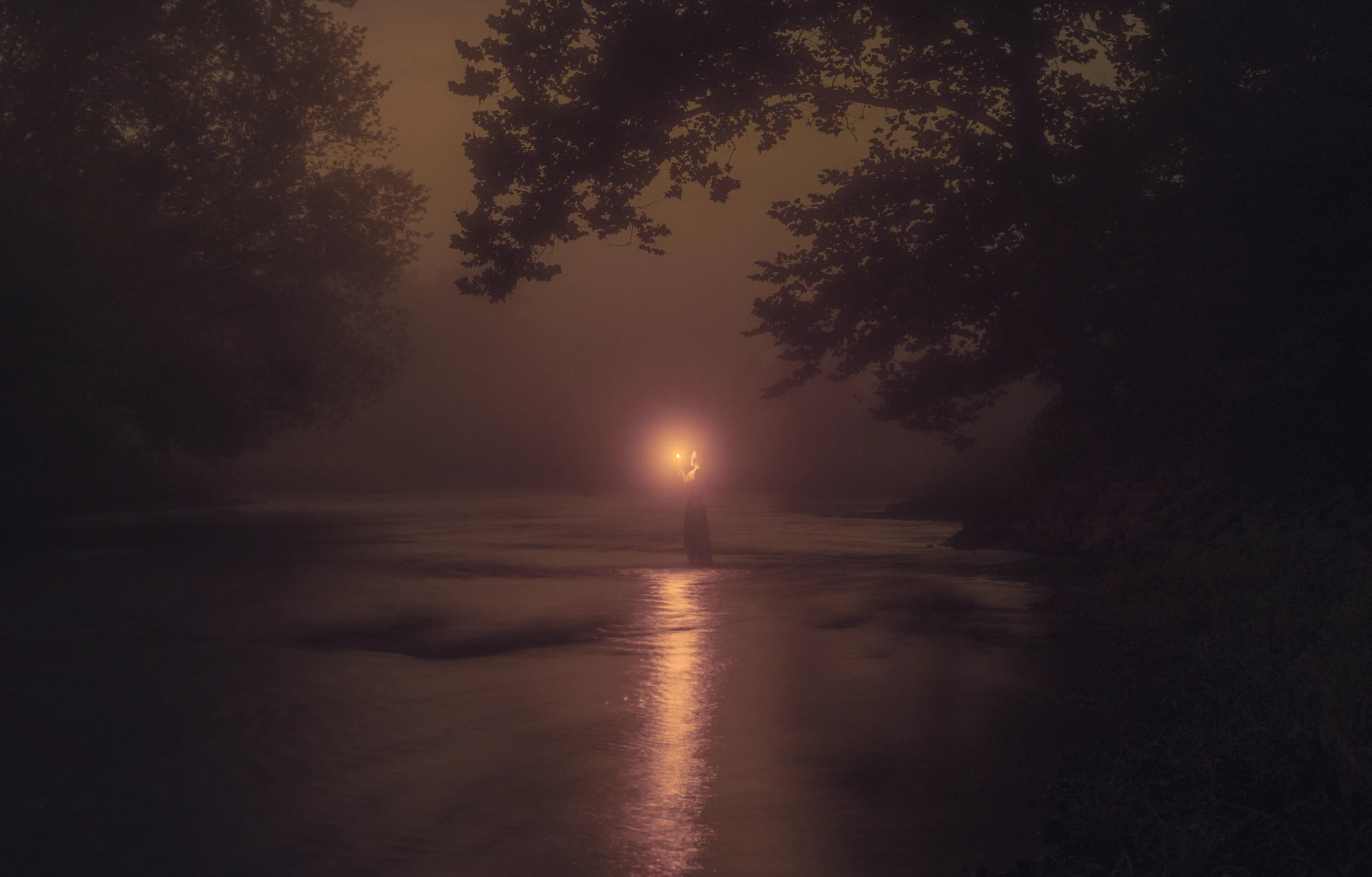 In-between the follow and the lead. 

Shot in the Kishwaukee River, August, 2021.