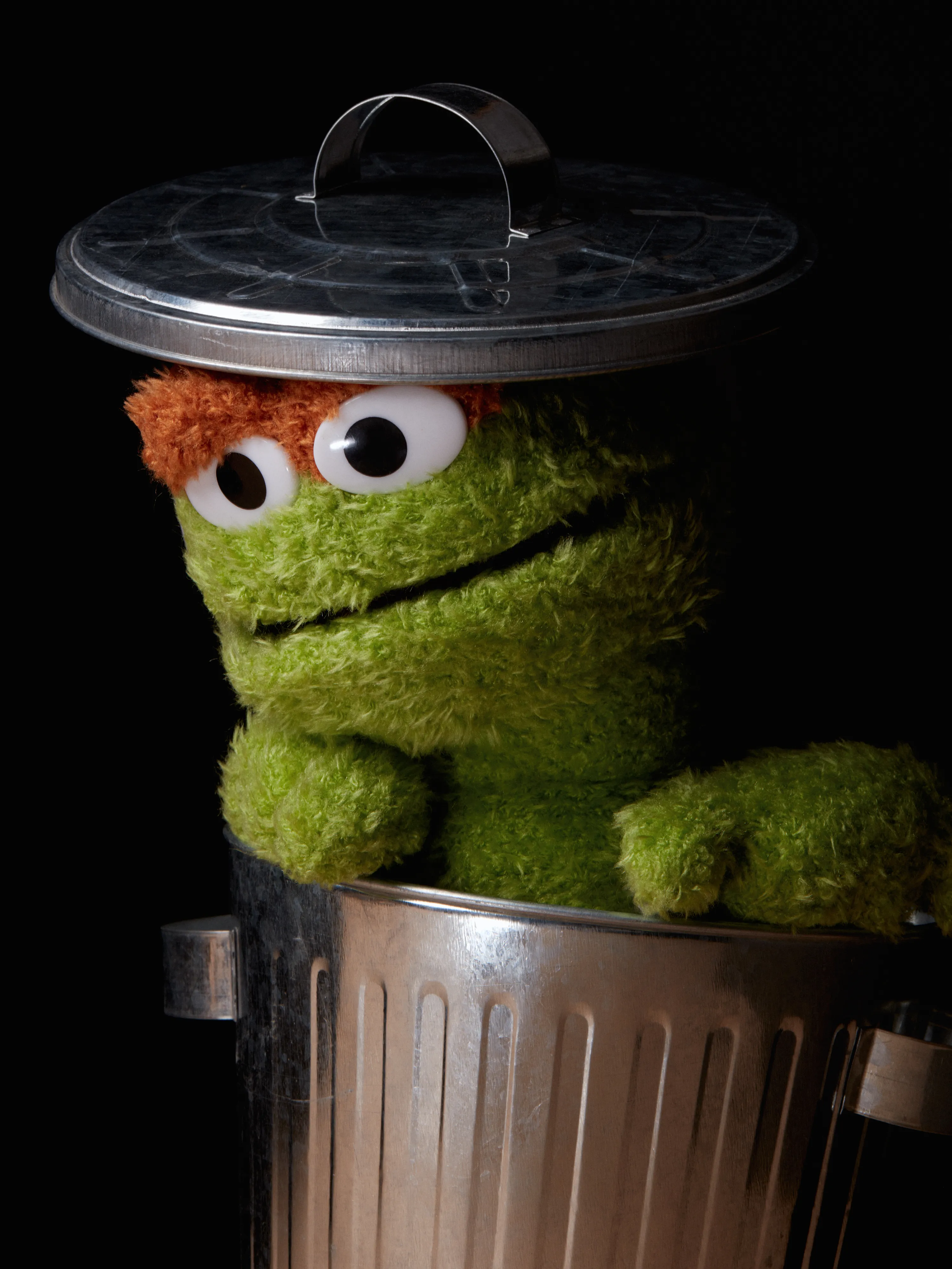 Portrait of a Grouch
Digital Photograph
2020

3000 x 4000 pixels