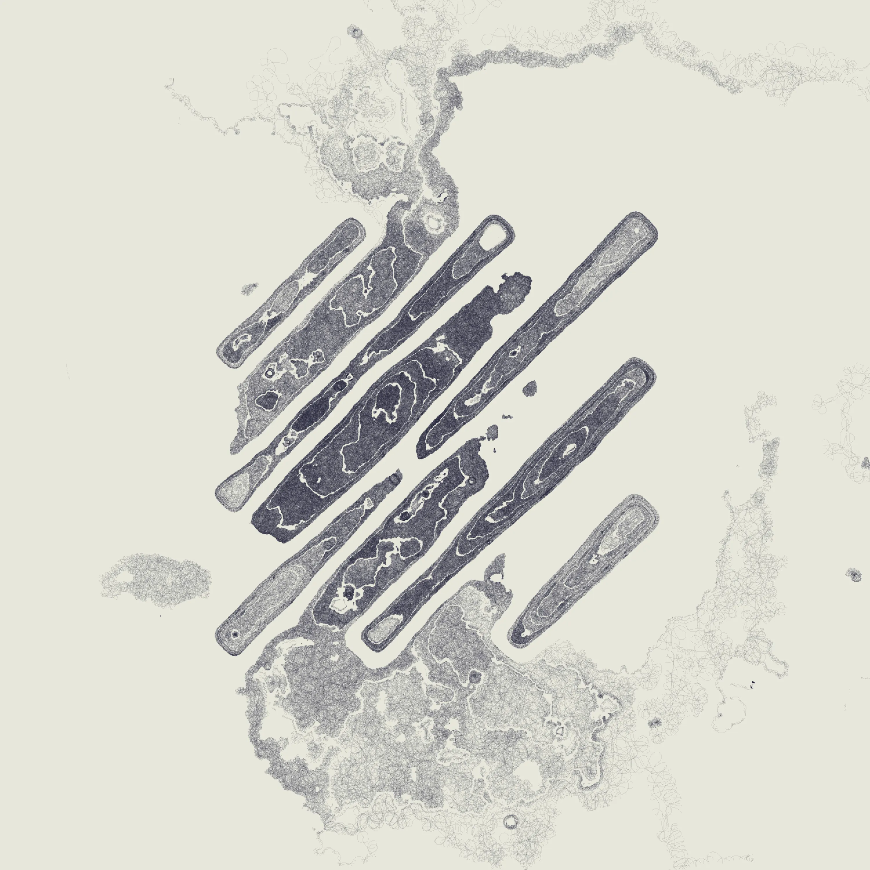 An interpretation of the Decal by Kjetil Golid. A symbol of permissionless creativity. Series One.