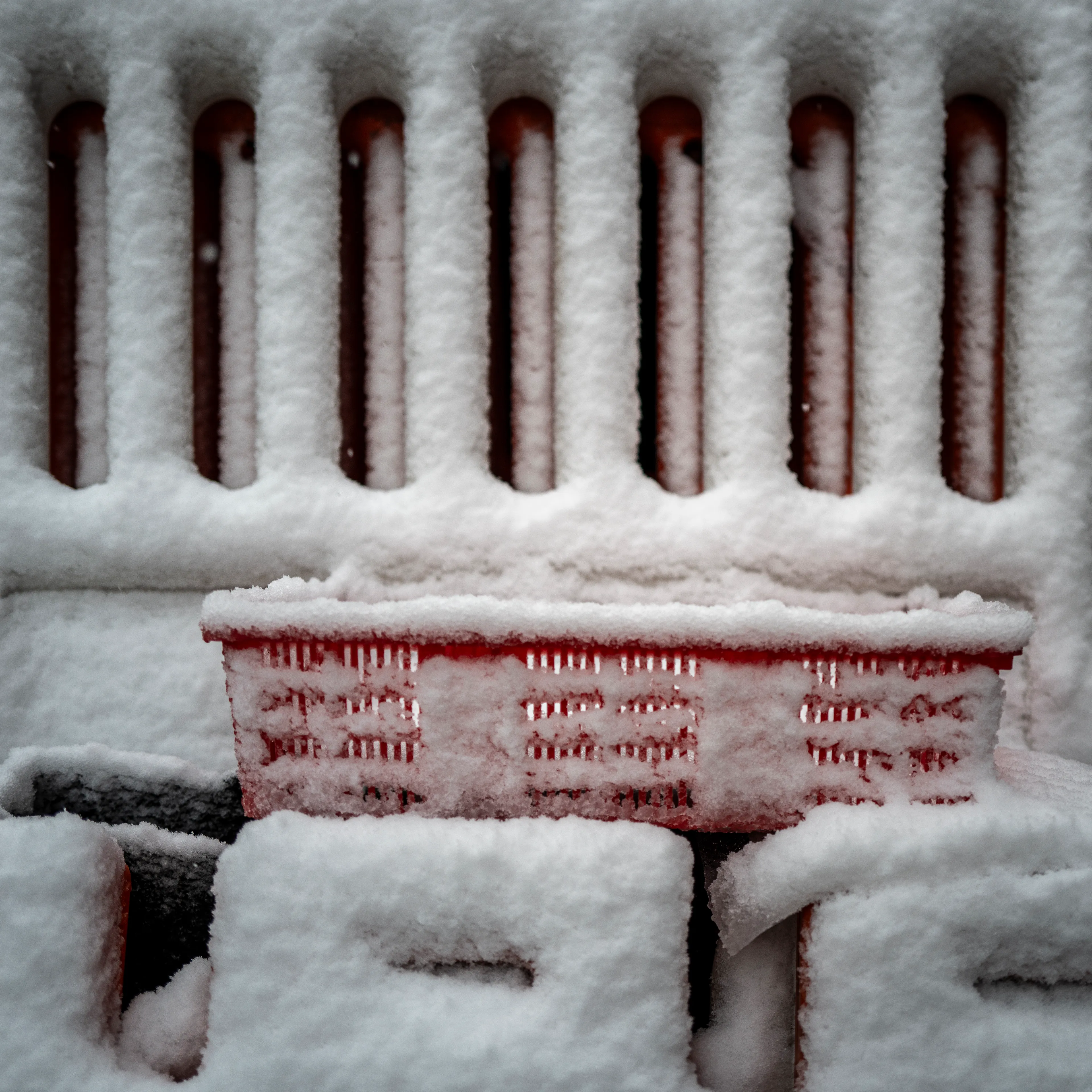 “Cachivaches” is a colloquial Spanish term for a mix of miscellaneous objects often considered worthless or junk. This series explores the aesthetic and structural dynamics of discarded objects, focusing on the paradox between chaos and order. The square format imposes a geometric constraint, juxtaposing organic disorder with rigid frames, encouraging a reevaluation of inherent organization. By highlighting spontaneous patterns in the disordered, "Cachivaches" reveals the latent beauty in the mundane.