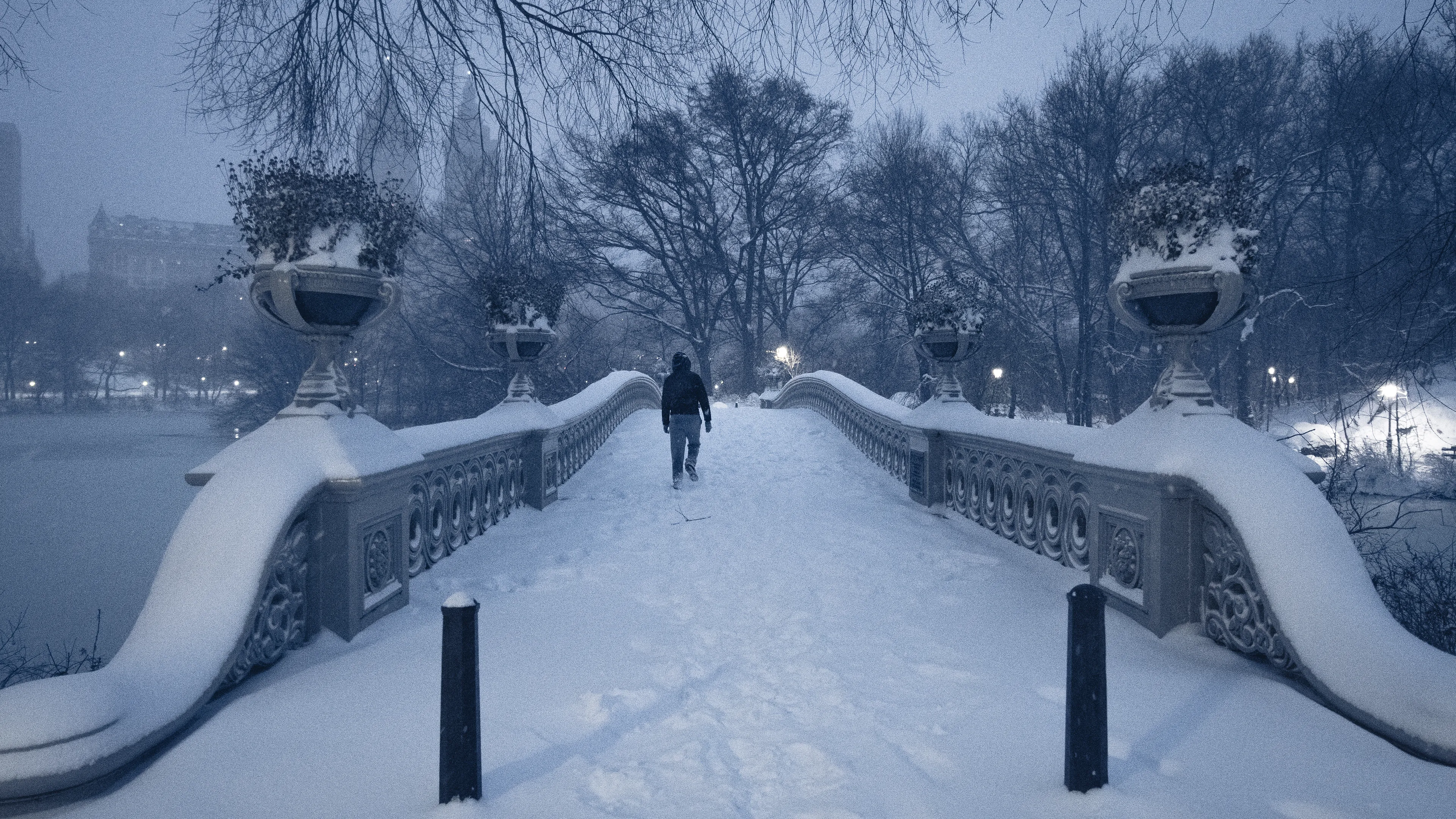 "Snow Days In NYC" is a collection of images that were taken over the course of 6 years. Each image documents an everyday New Yorker bravely making their way through the storm as the winds whip snow into their faces. Each step taken is calculated. One misstep could lead to having a speedy and painful introduction to the pavement.