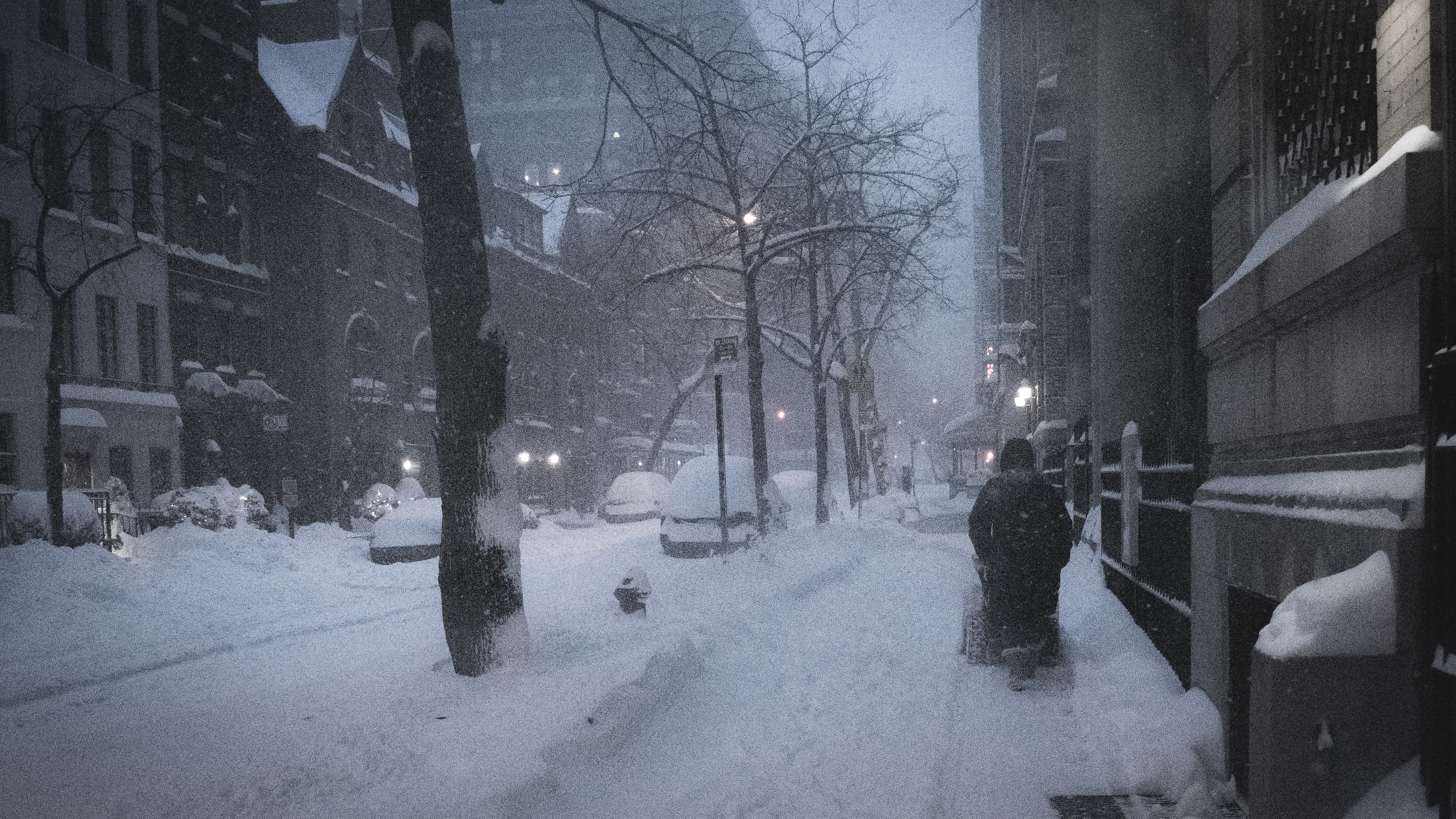 "Snow Days In NYC" is a collection of images that were taken over the course of 6 years. Each image documents an everyday New Yorker bravely making their way through the storm as the winds whip snow into their faces. Each step taken is calculated. One misstep could lead to having a speedy and painful introduction to the pavement.
