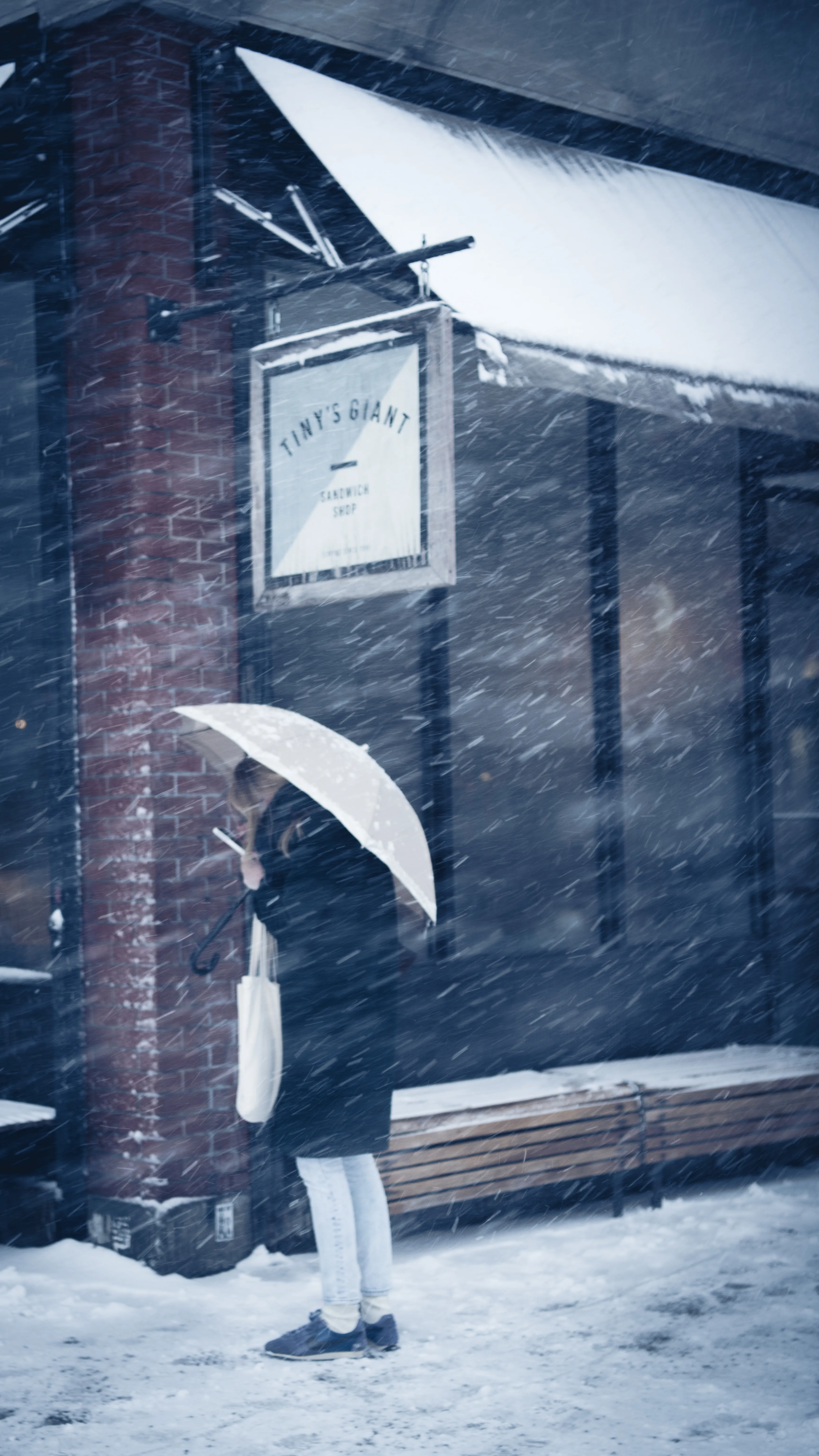 "Snow Days In NYC" is a collection of images that were taken over the course of 6 years. Each image documents an everyday New Yorker bravely making their way through the storm as the winds whip snow into their faces. Each step taken is calculated. One misstep could lead to having a speedy and painful introduction to the pavement.