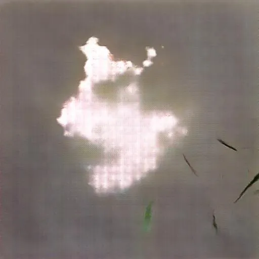 AI artwork generated by a GAN trained on images of flowers from rural upstate New York.