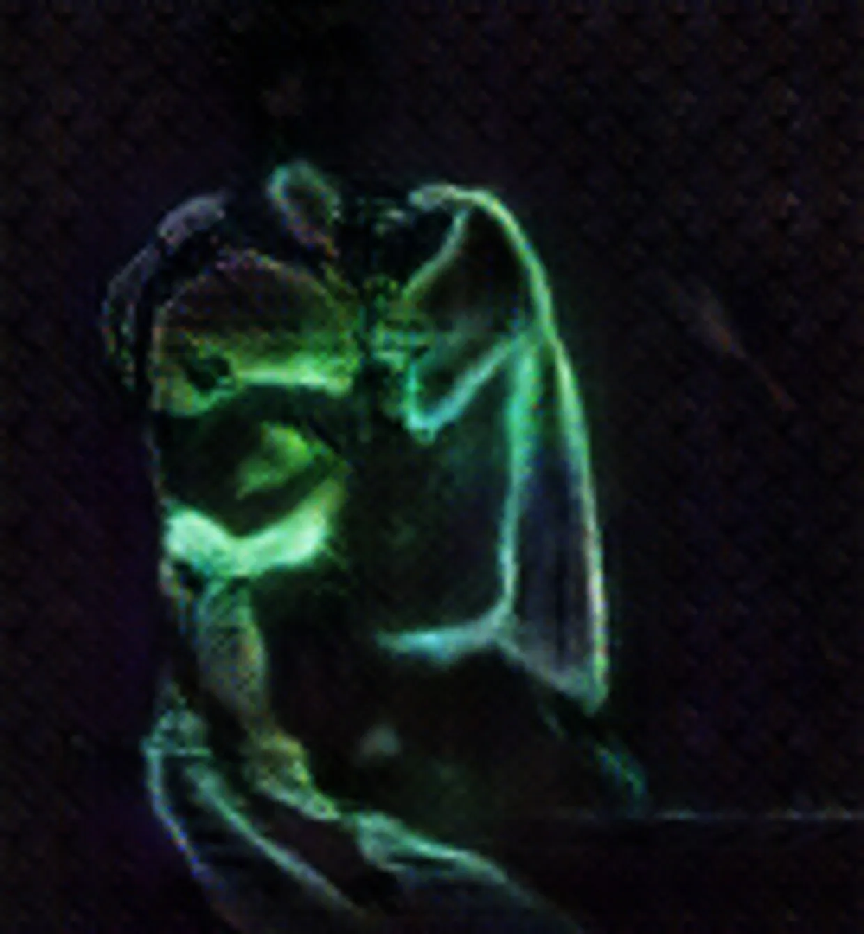 The Belamy Family has a few secrets. http://bit.ly/balamyOne The dark side of the Belamy family found in the portrait models of @drbeef_ Robbie Barrat and Bard Ionson's oscilloscope 