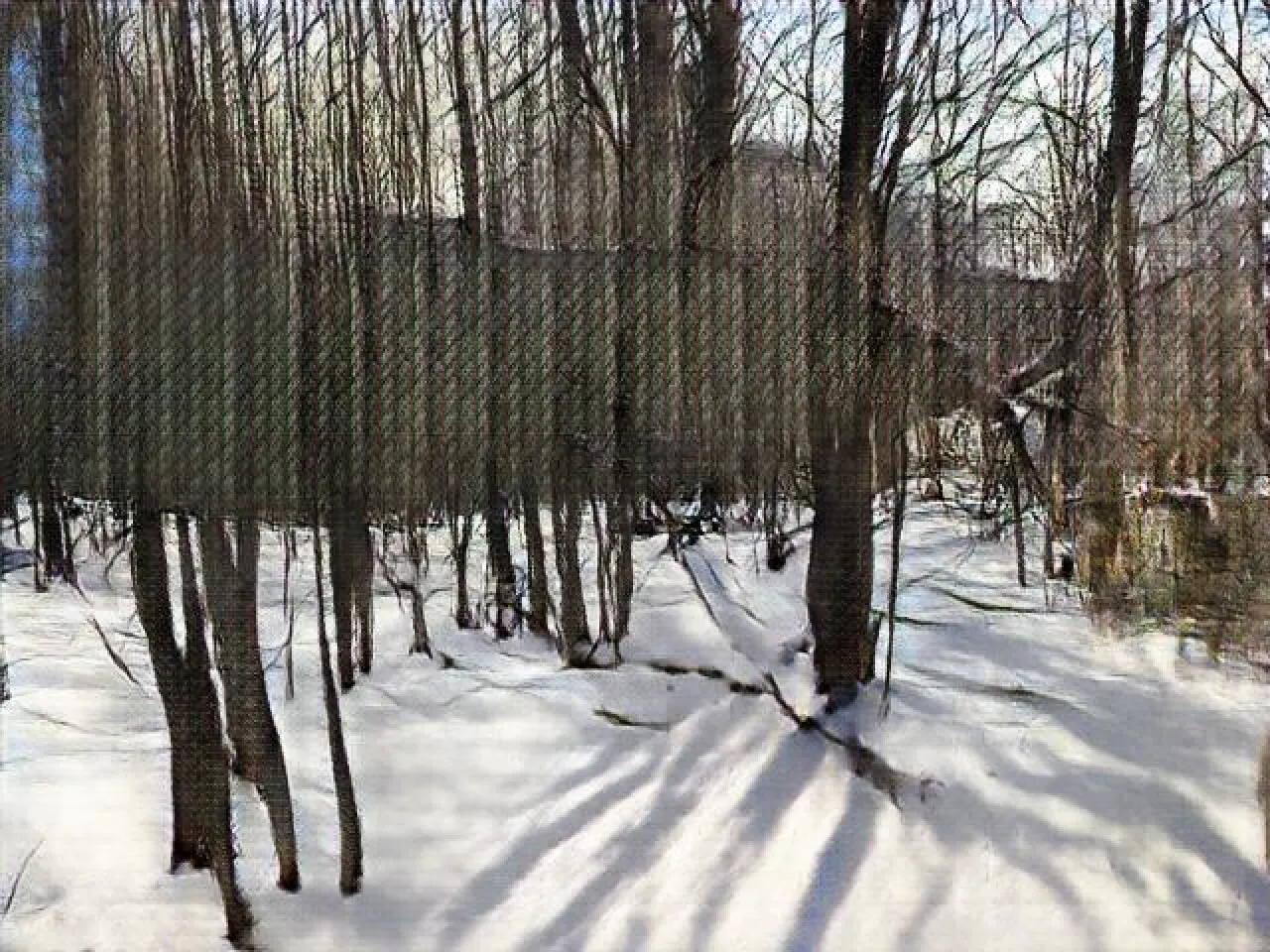 AI artwork generated by a GAN trained on images of woods in rural upstate New York. 