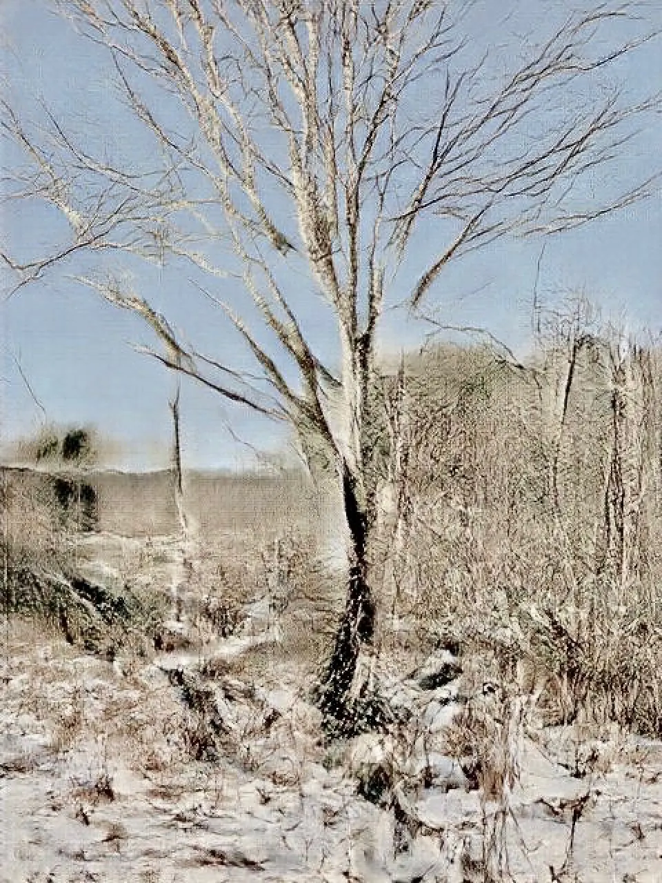 AI artwork generated by a GAN trained on images of trees and fields in rural upstate New York. 