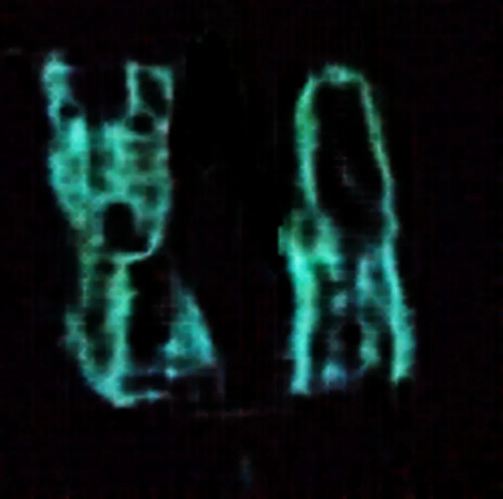 In 1966 two military computer nodes in Canada begin generating unknown symbols in an incident known as "The SAGE Anomaly". http://bit.ly/sageAnomaly This is one of the possible symbols reconstructed using the DCGAN machine learning technique. (Historical Science Fiction)
