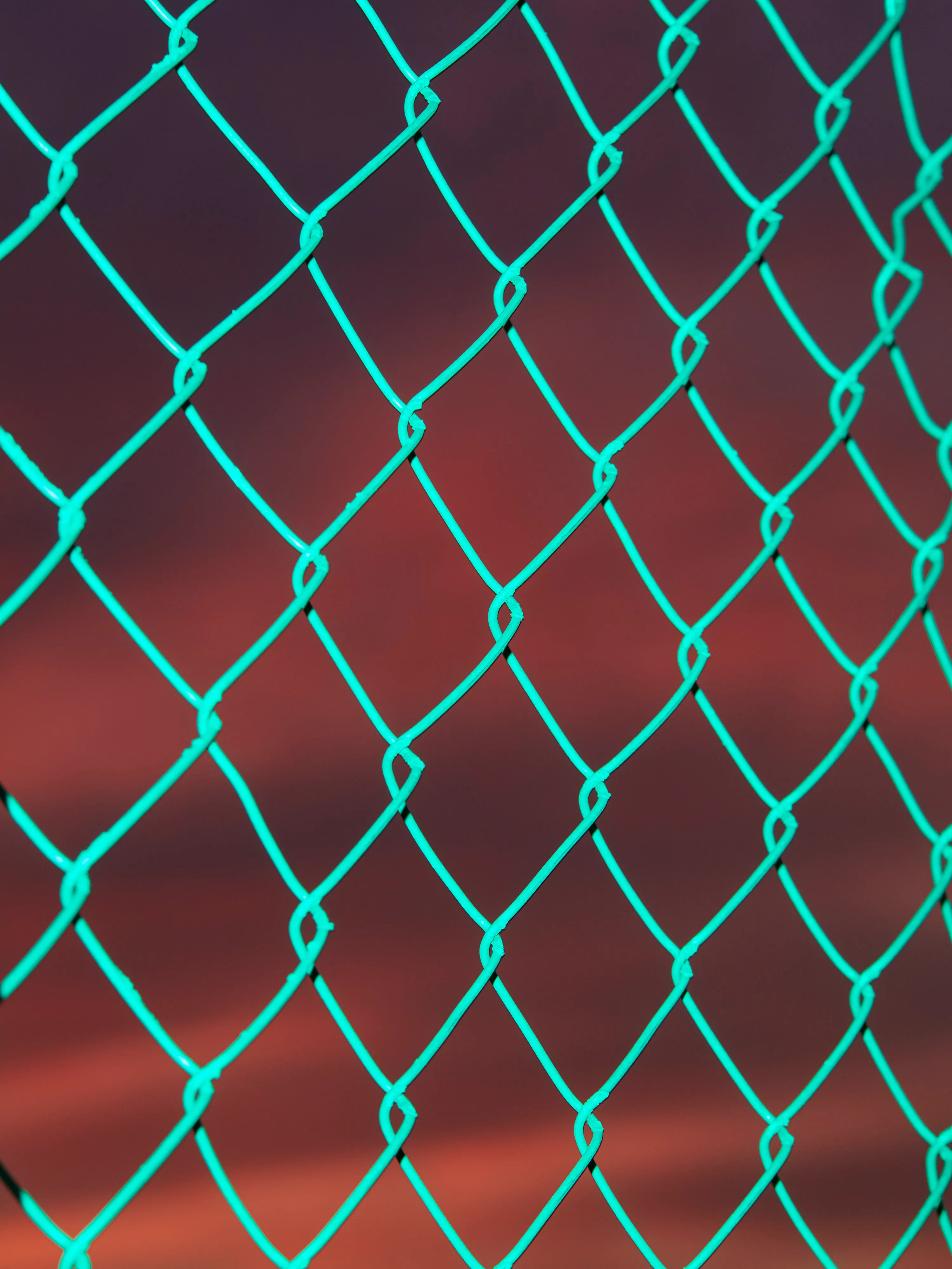 CHAINLINK № 16

Digital Photograph
Brooklyn, NY
2021

3000 x 4000 pixels