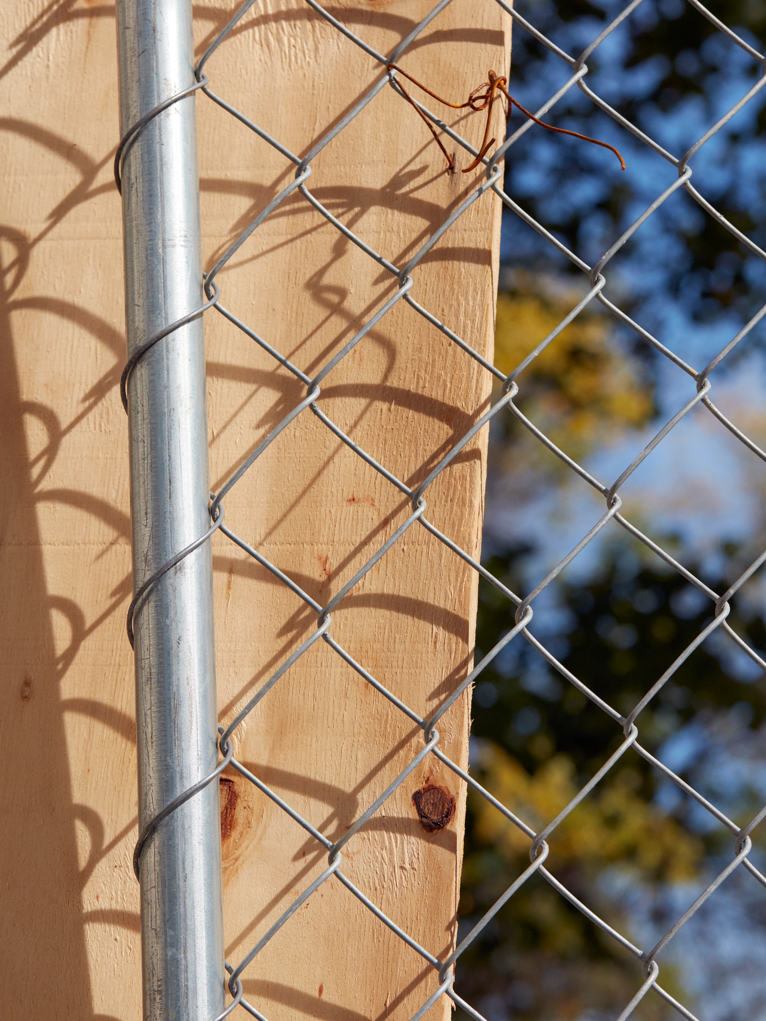 CHAINLINK № 8

Digital Photograph
Brooklyn, NY
2020

3000 x 4000 pixels