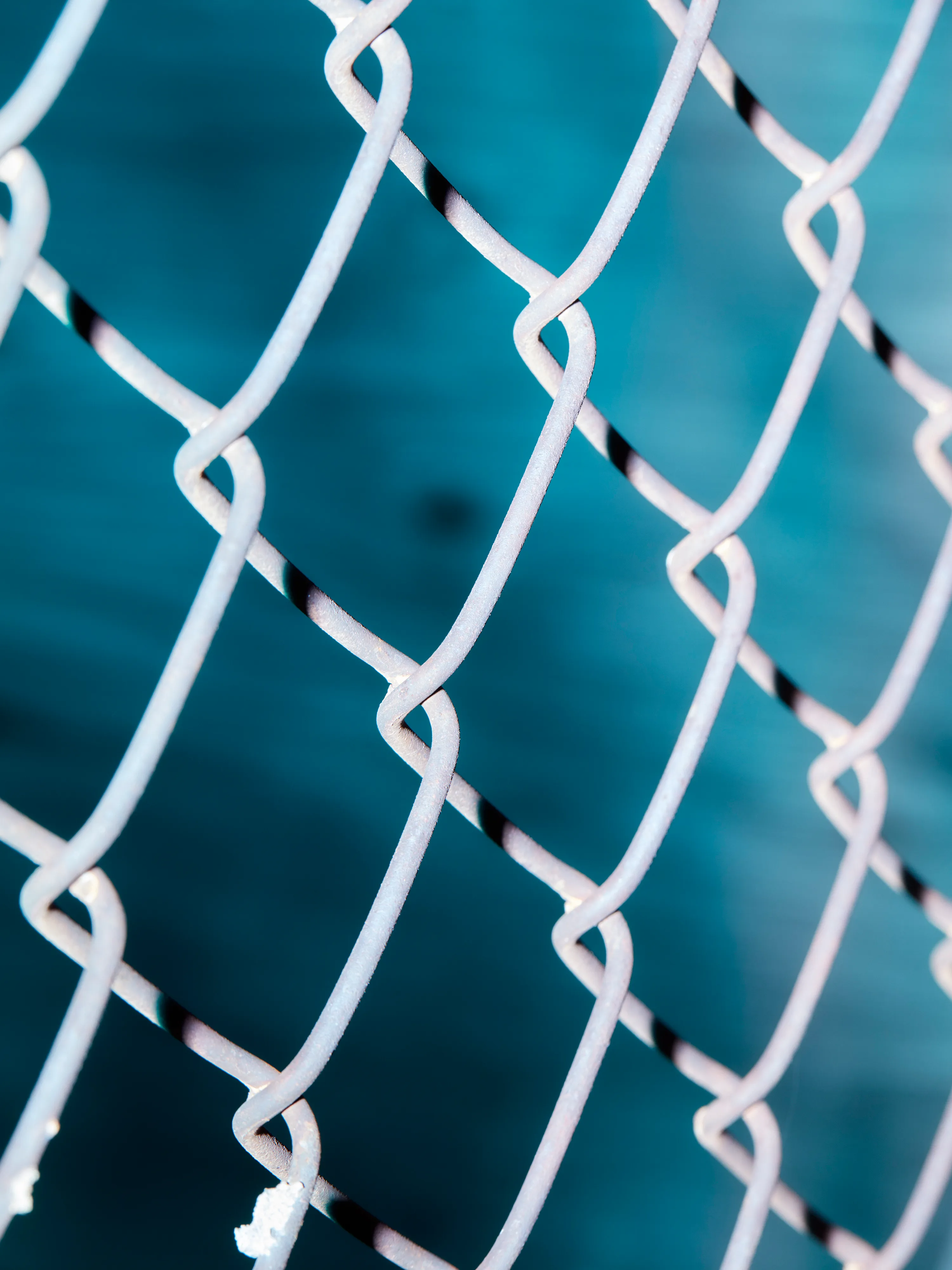 CHAINLINK № 17

Digital Photograph
Brooklyn, NY
2021

3000 x 4000 pixels