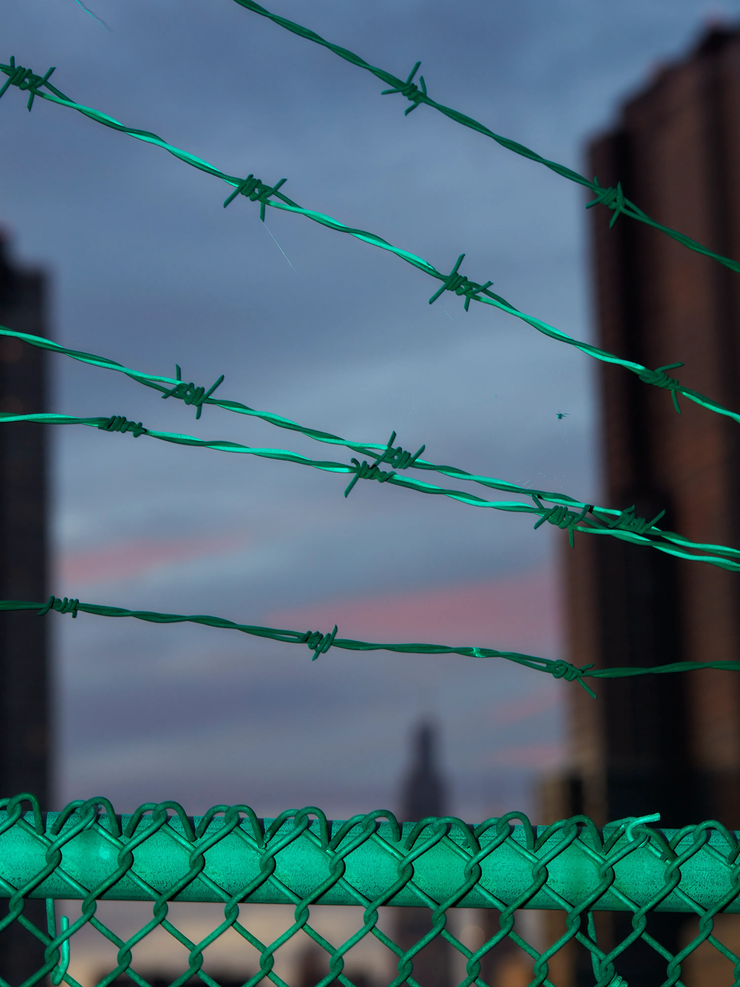 CHAINLINK № 18

Digital Photograph
Brooklyn, NY
2021

3000 x 4000 pixels
