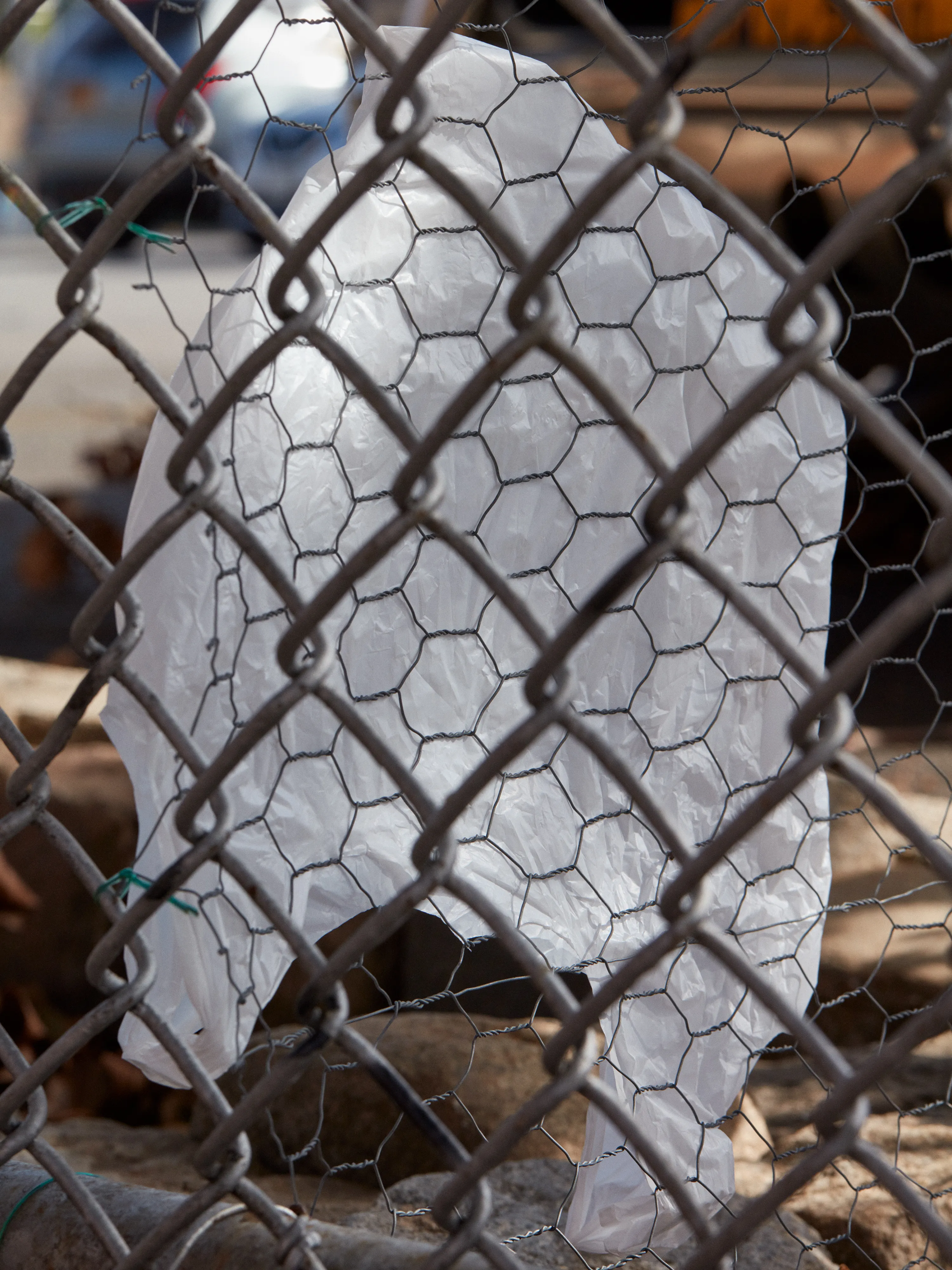 CHAINLINK № 7

Digital Photograph
Brooklyn, NY
2020

3000 x 4000 pixels