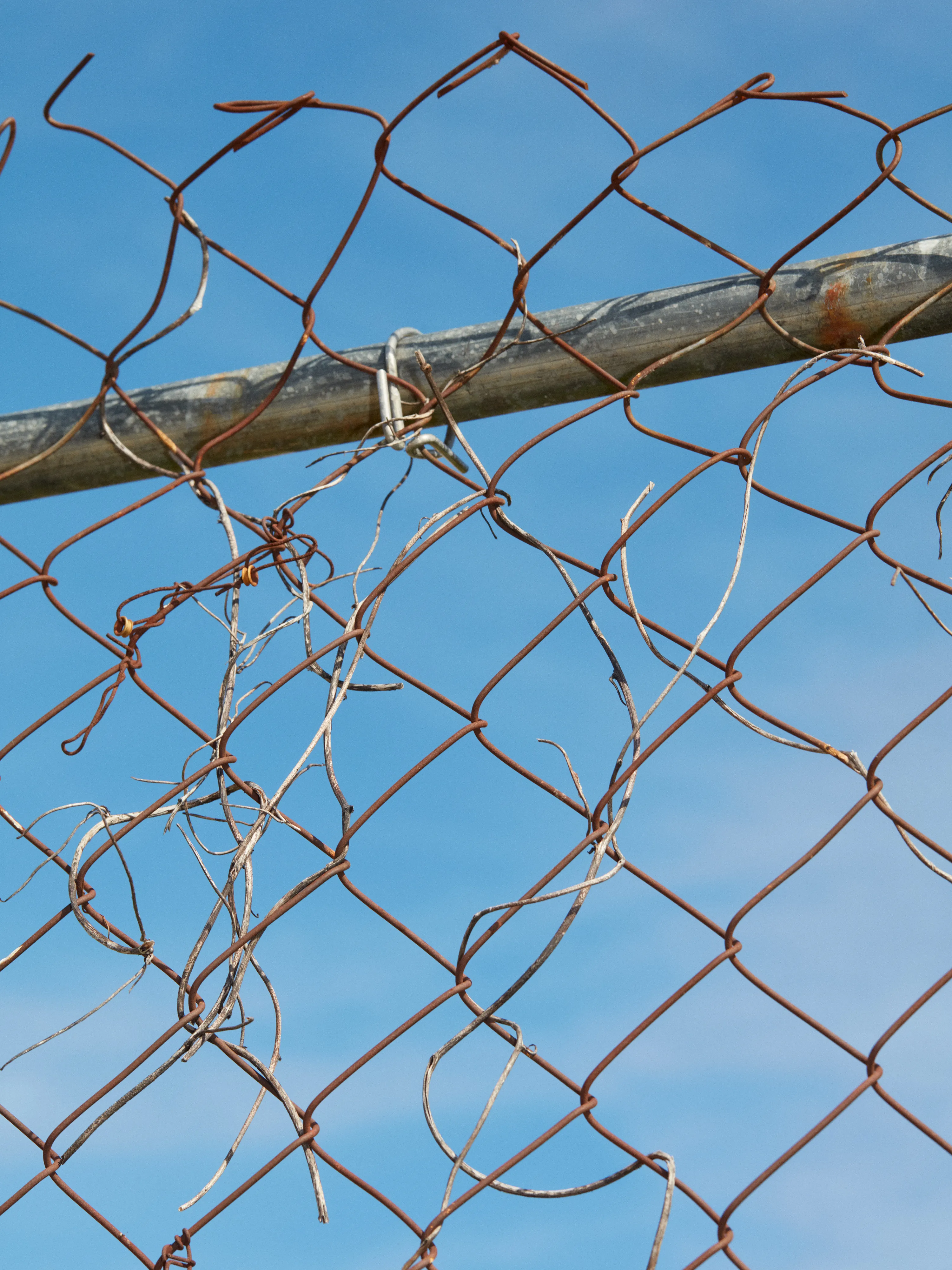 CHAINLINK № 10

Digital Photograph
Brooklyn, NY
2020

3000 x 4000 pixels