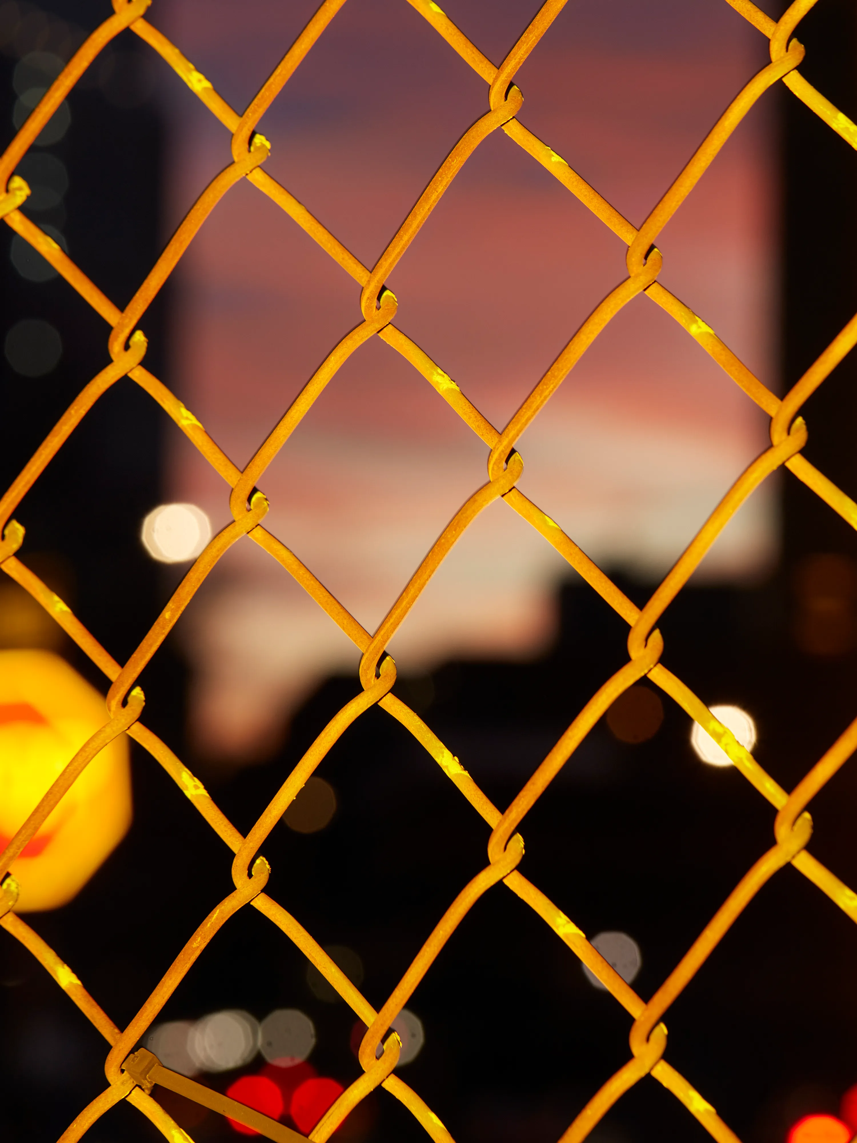 CHAINLINK № 20

Digital Photograph
Brooklyn, NY
2021

3000 x 4000 pixels