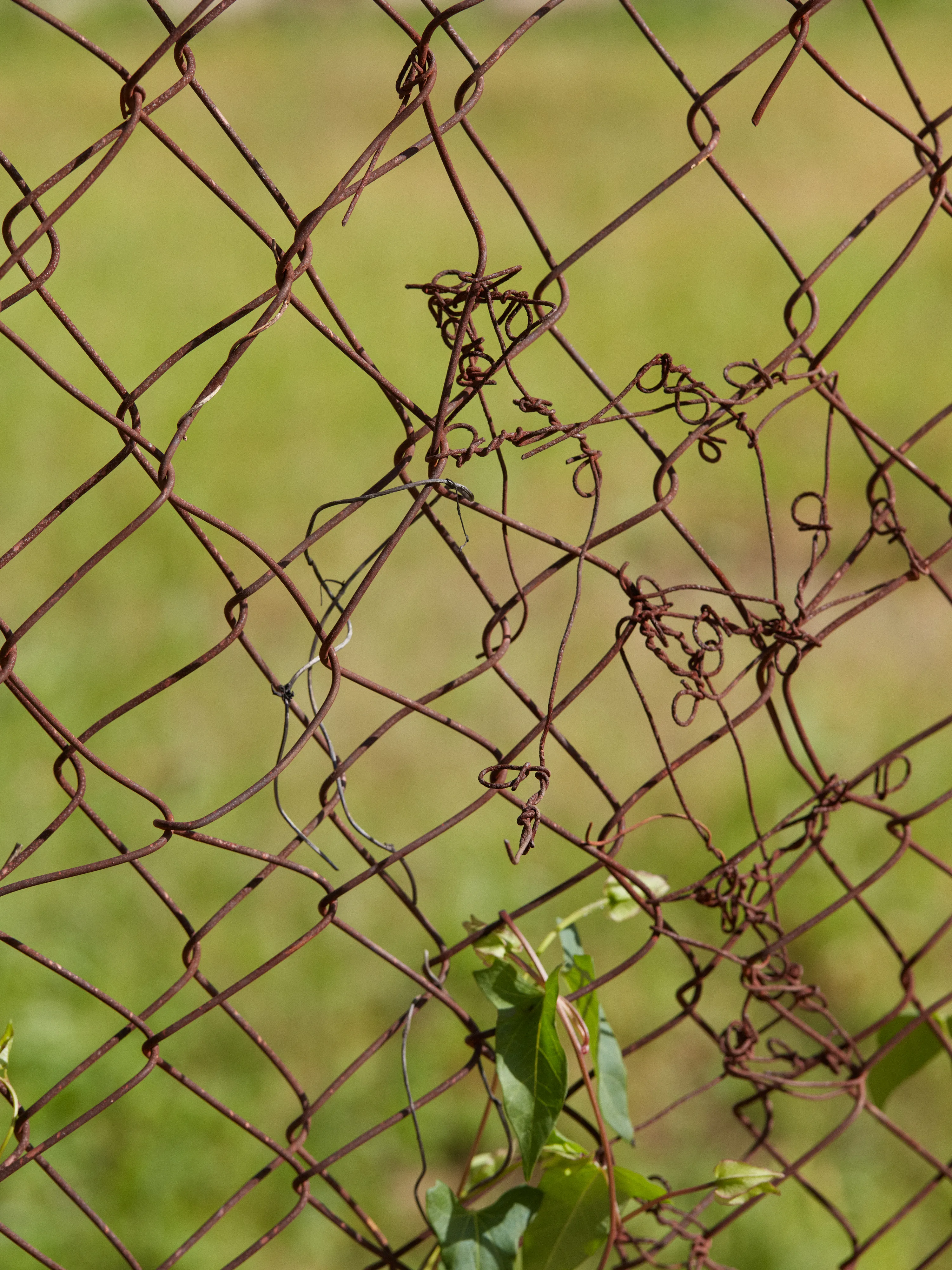 CHAINLINK № 1

Digital Photograph
Brooklyn, NY
2020

3000 x 4000 pixels